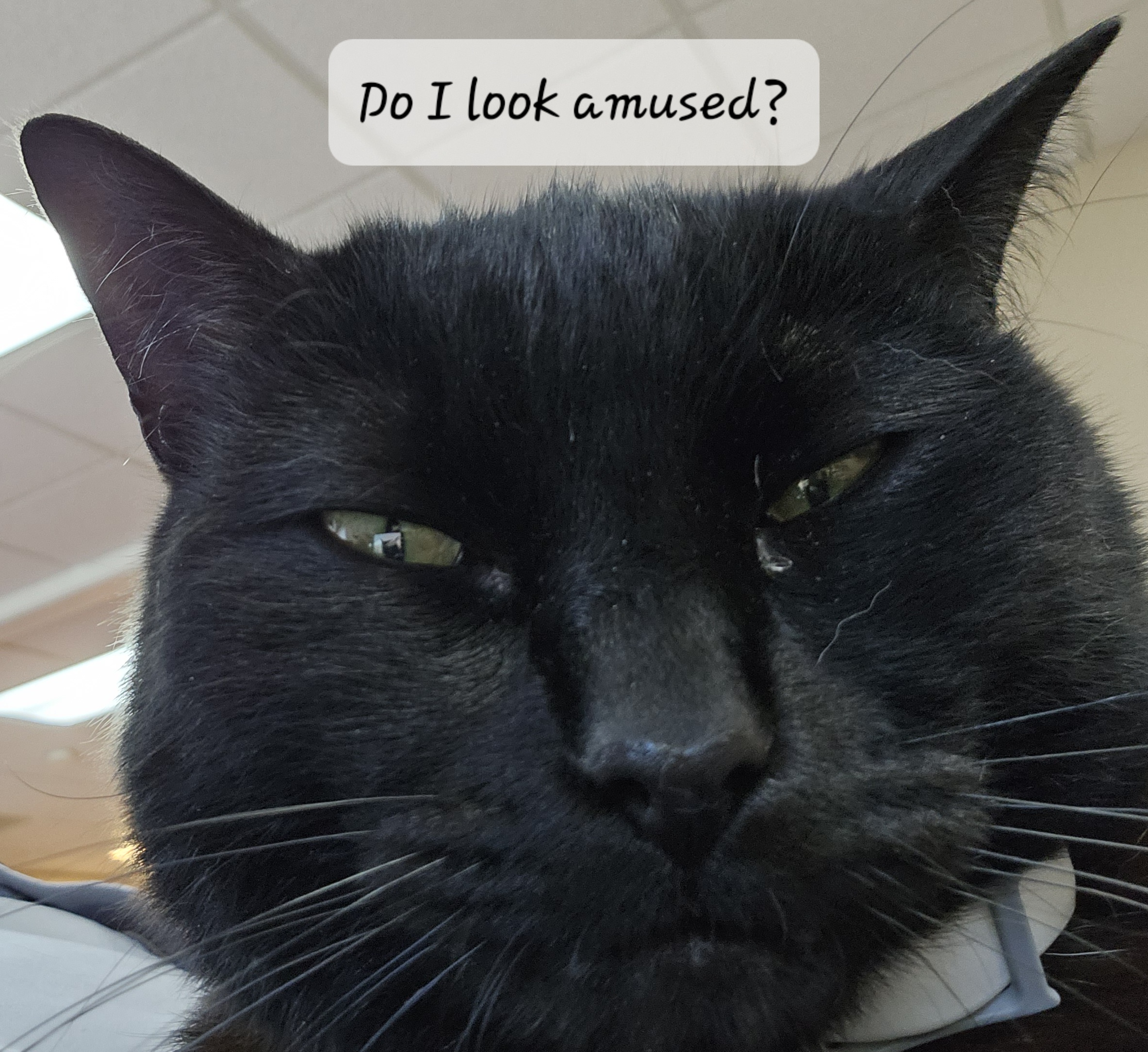 20230711_115528.jpg