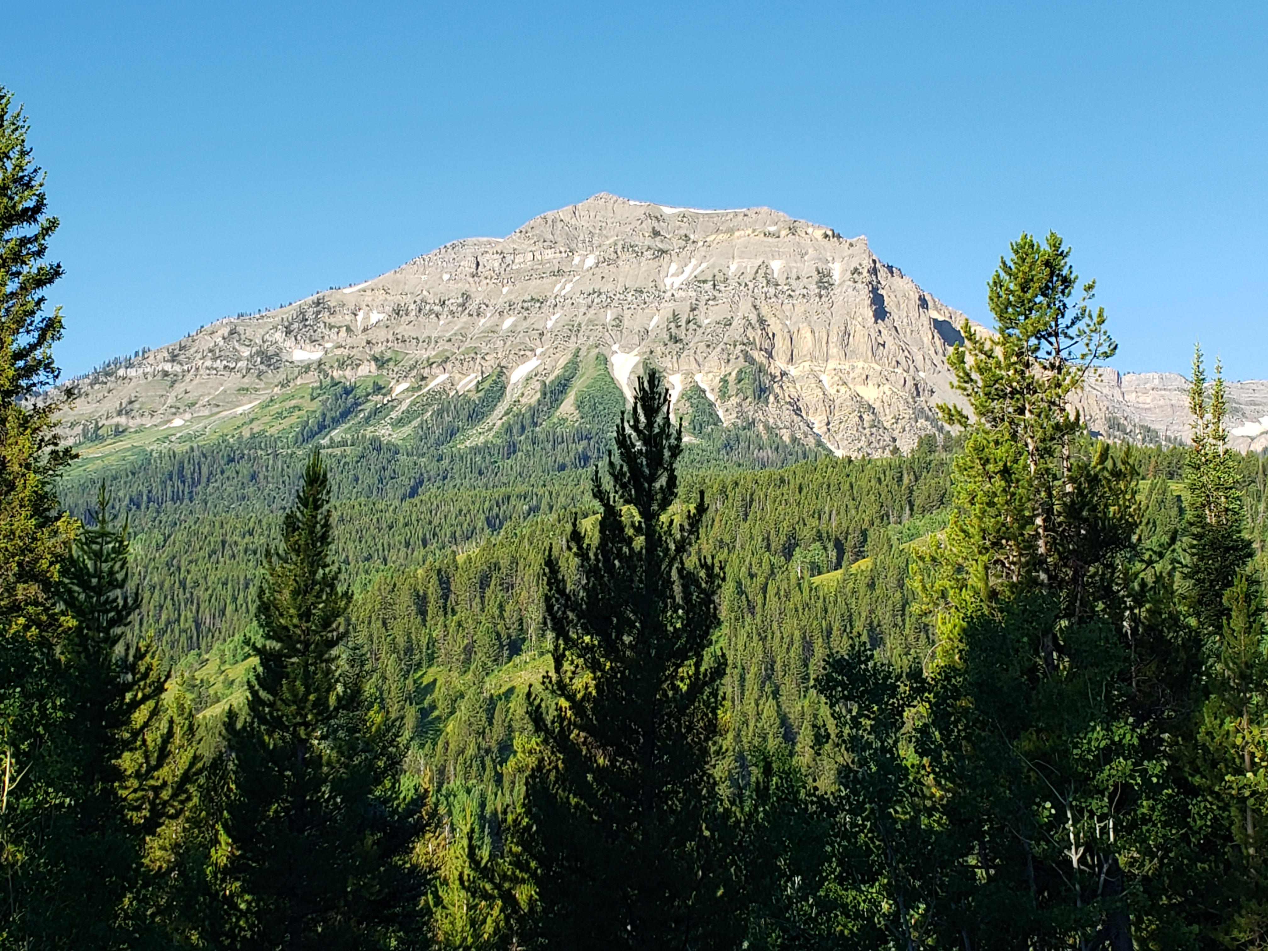 20230715_074340.jpg