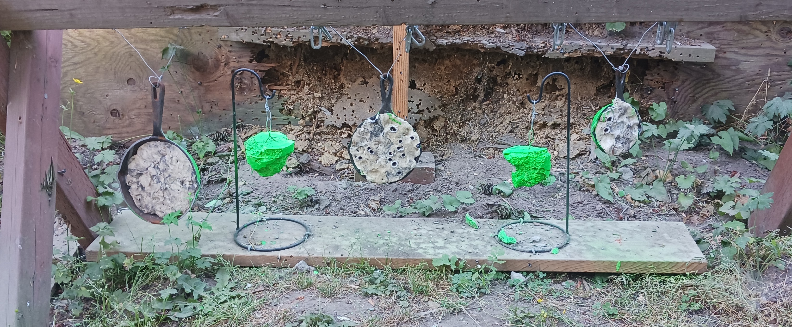 20230719_181747~2.jpg
