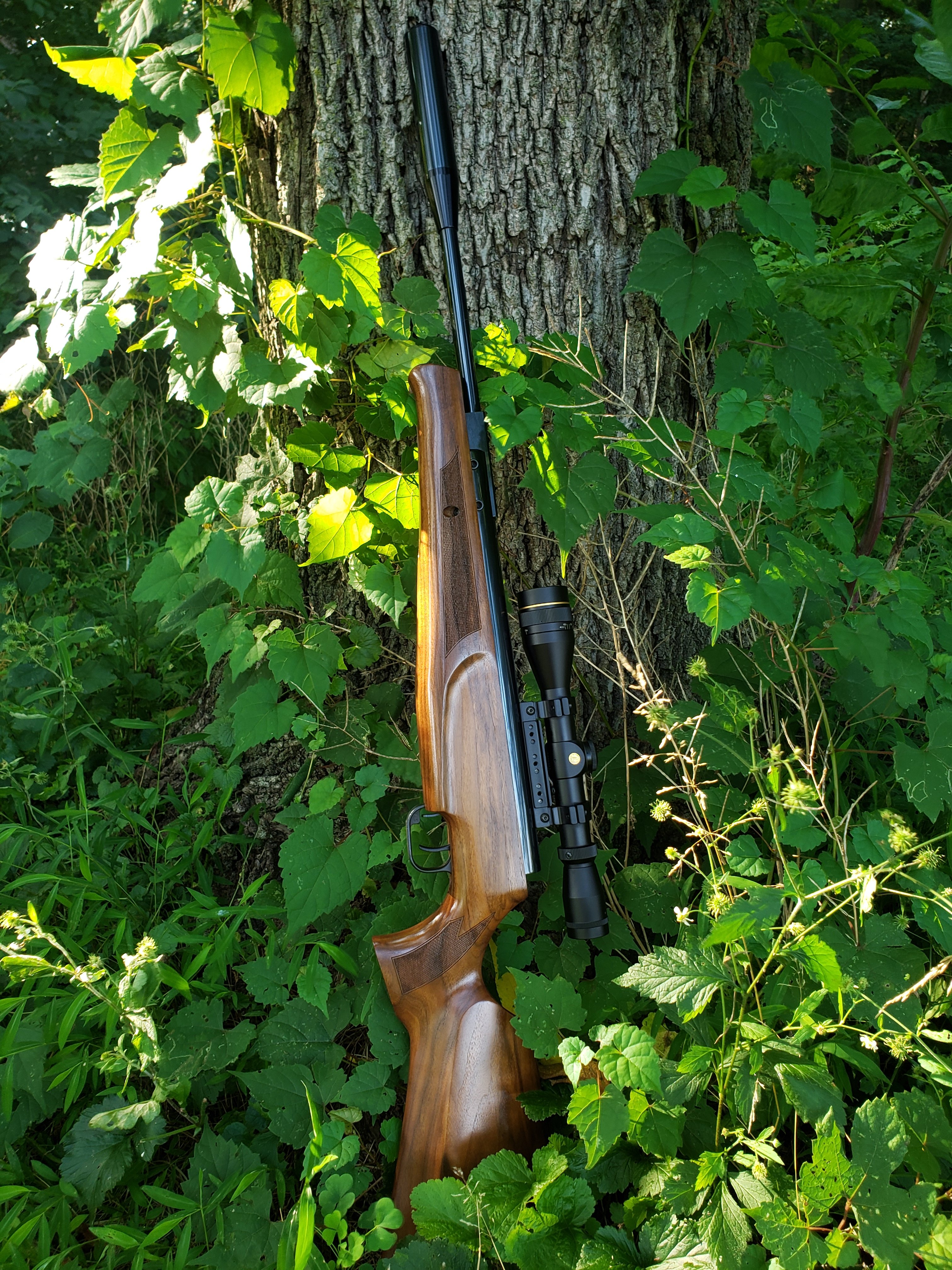 20230720_175245.jpg