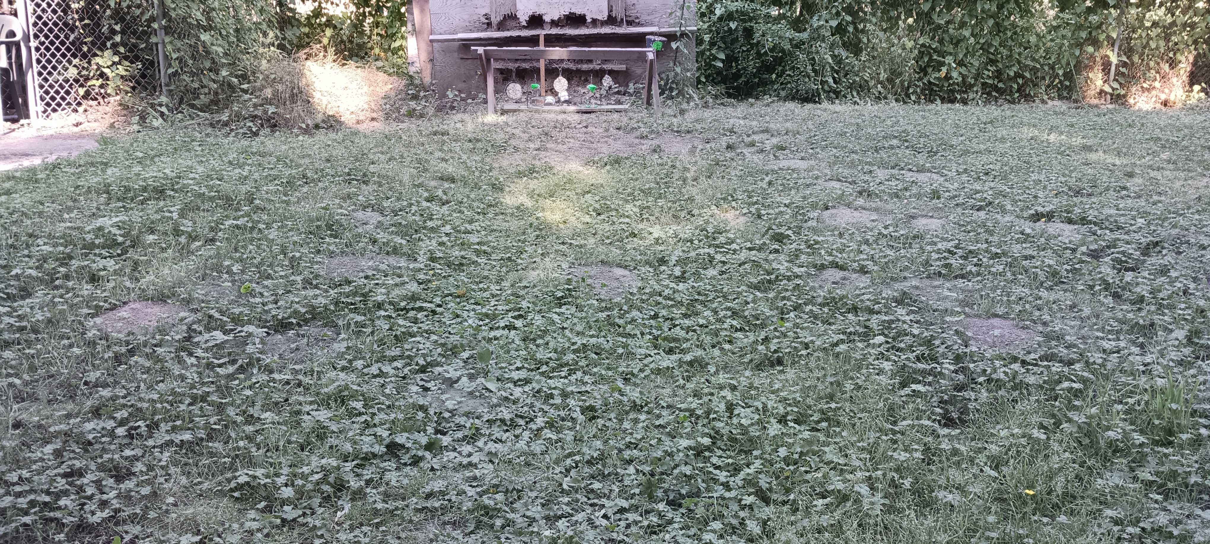 20230721_171742.jpg