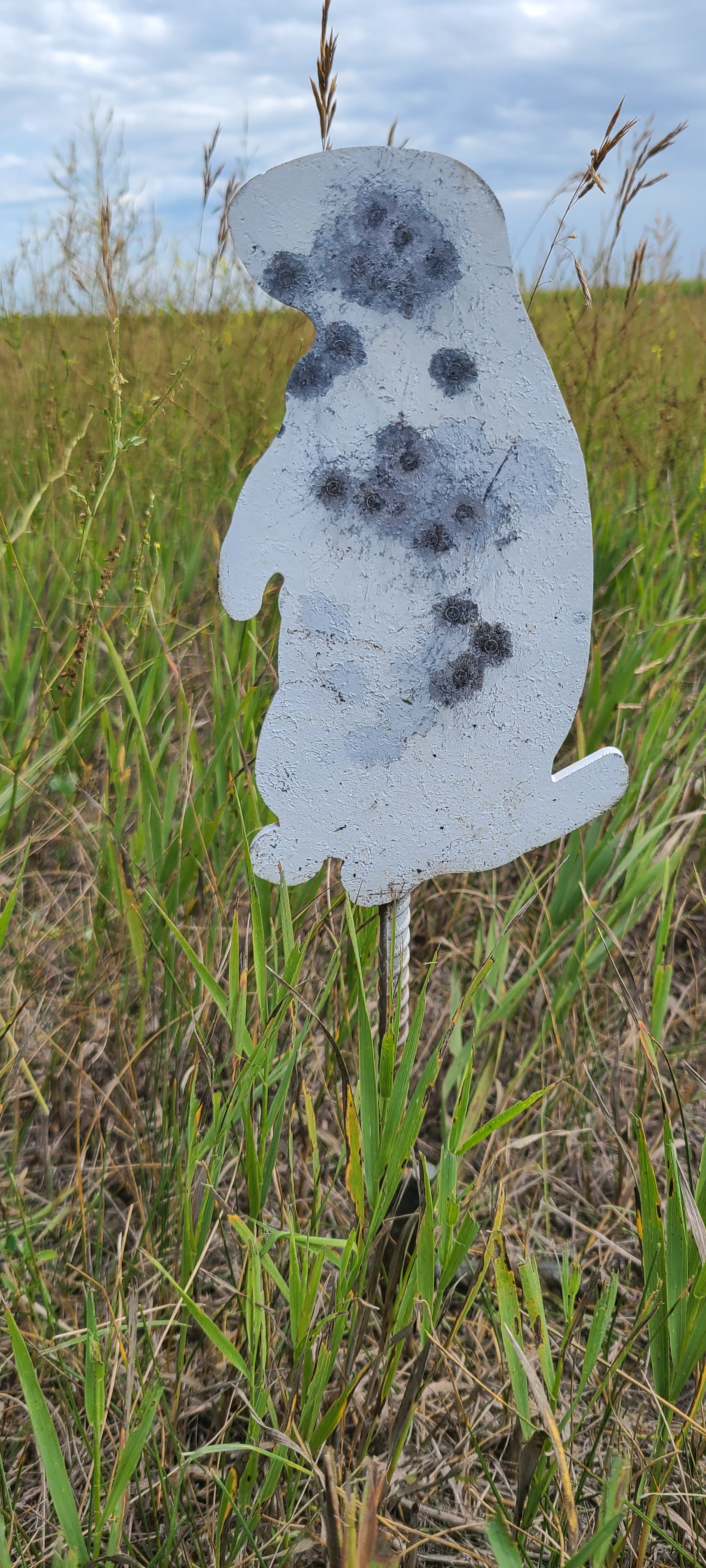 20230729_141325.jpg