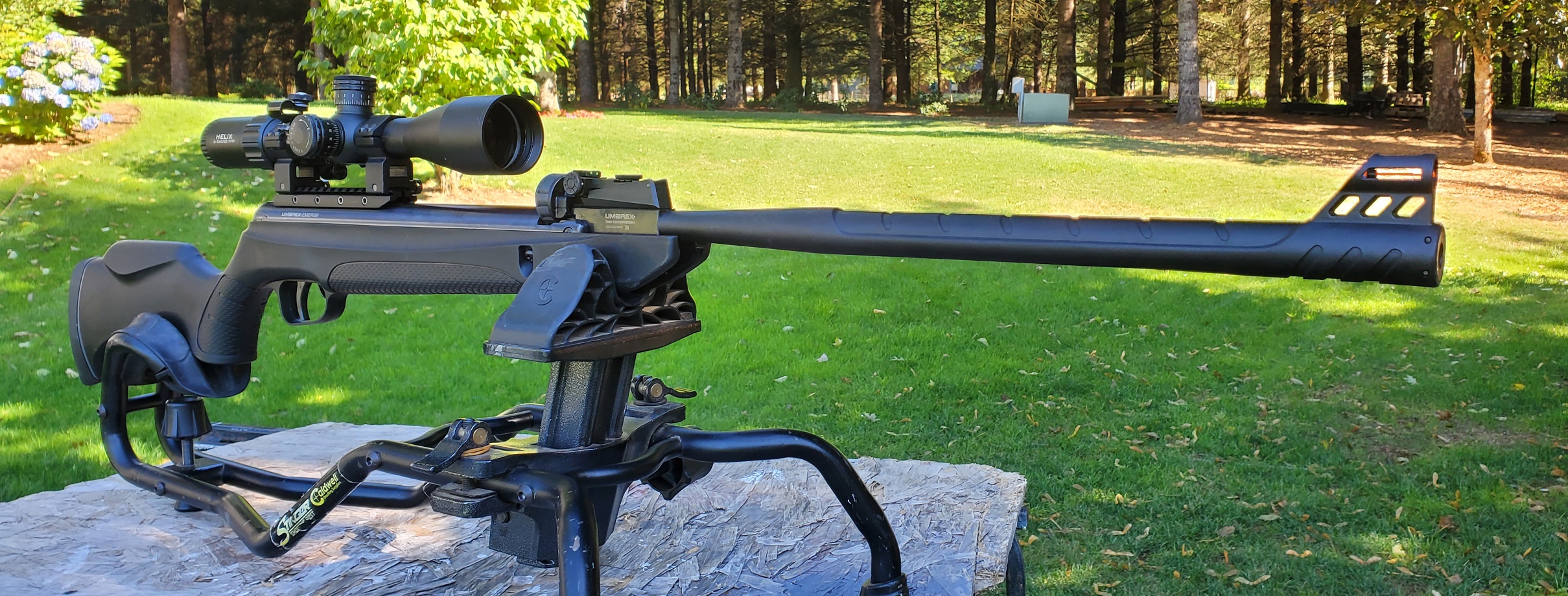 20230811_095617.jpg