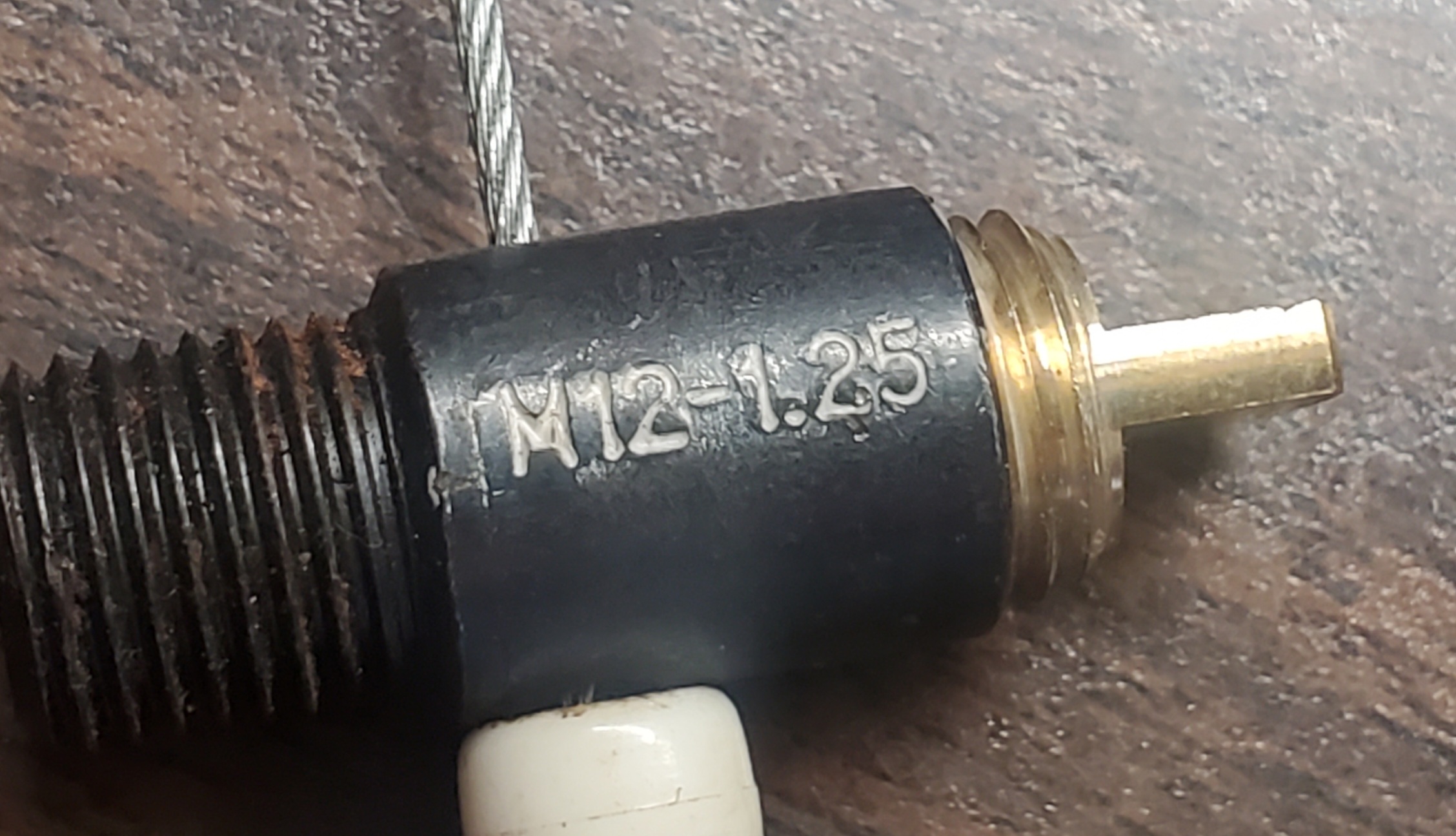 20230812_124745.jpg
