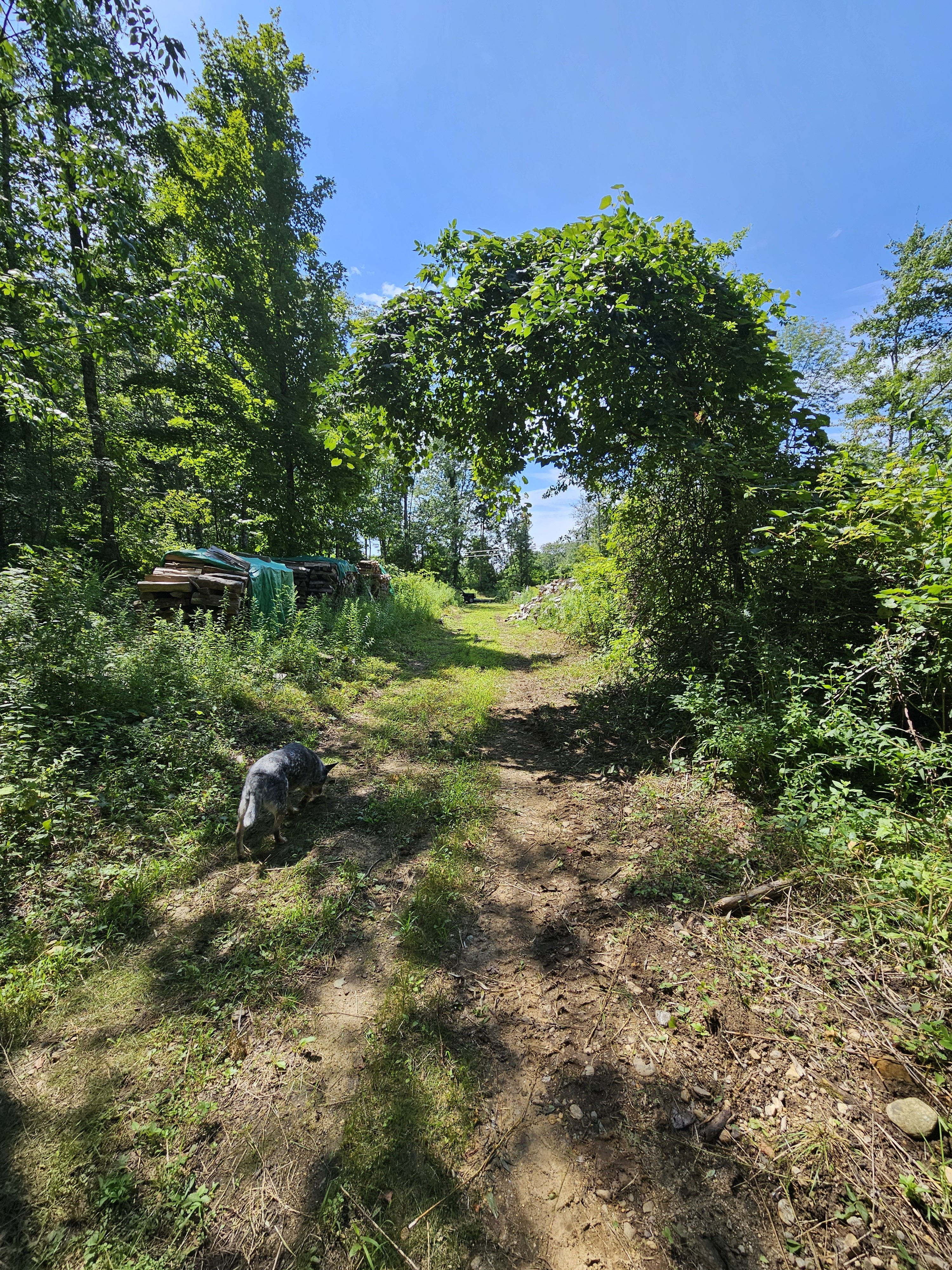 20230812_131601.jpg