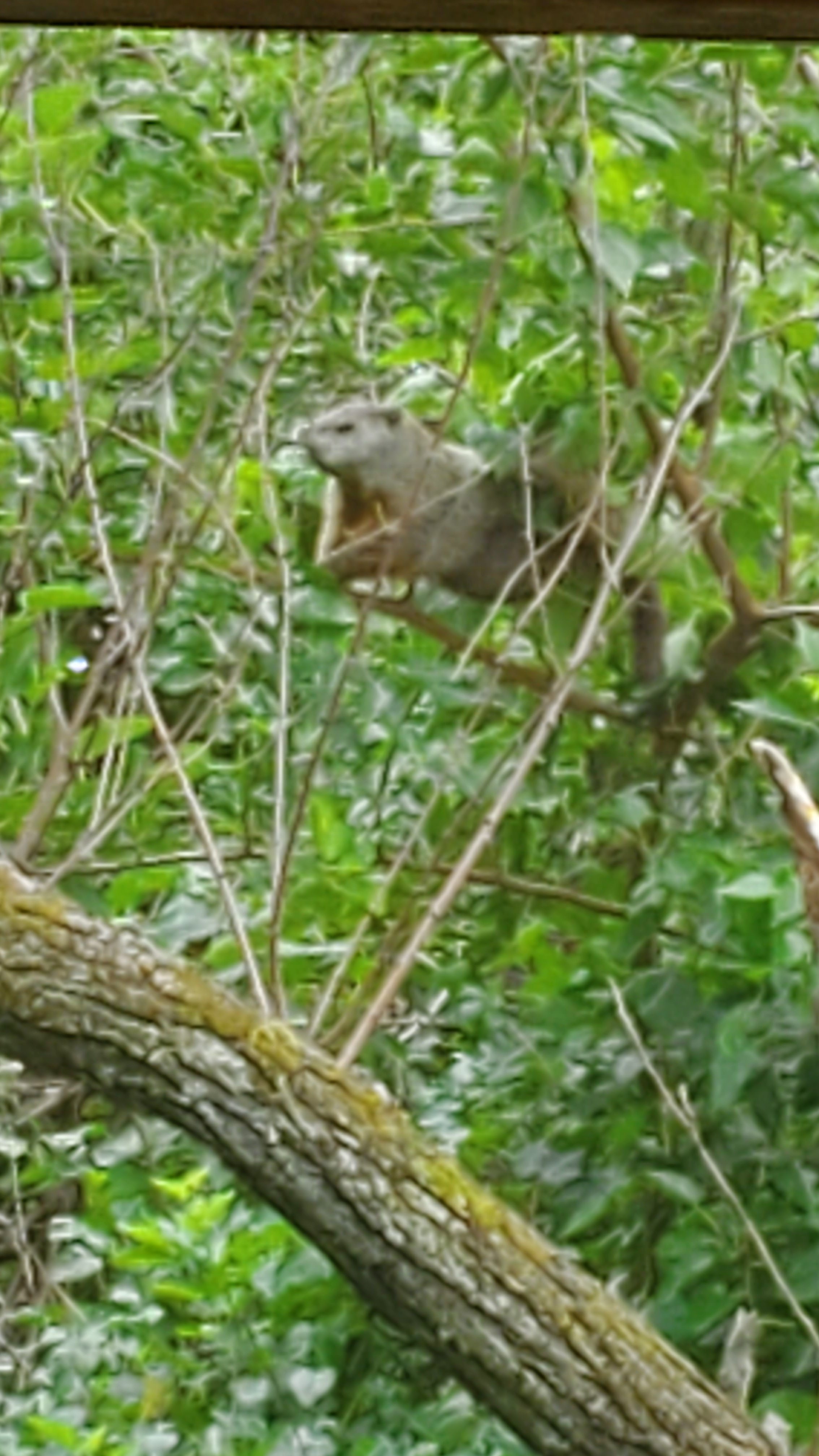 20230813_144014.jpg