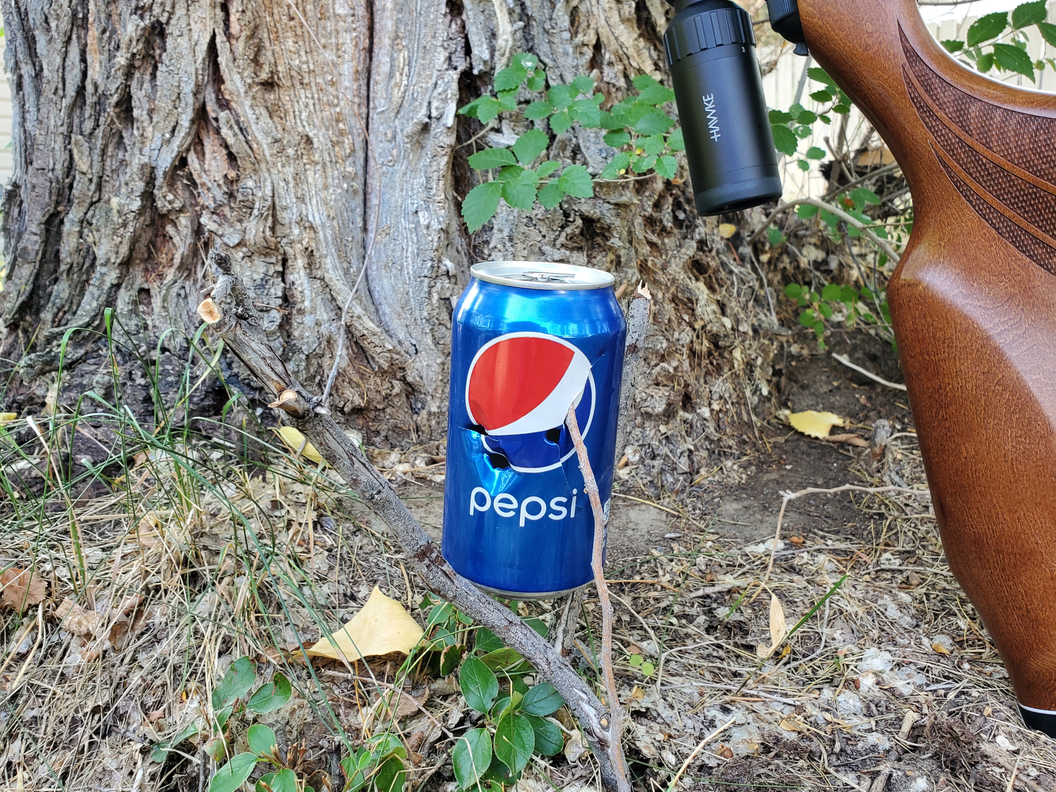 20230816_113753.jpg