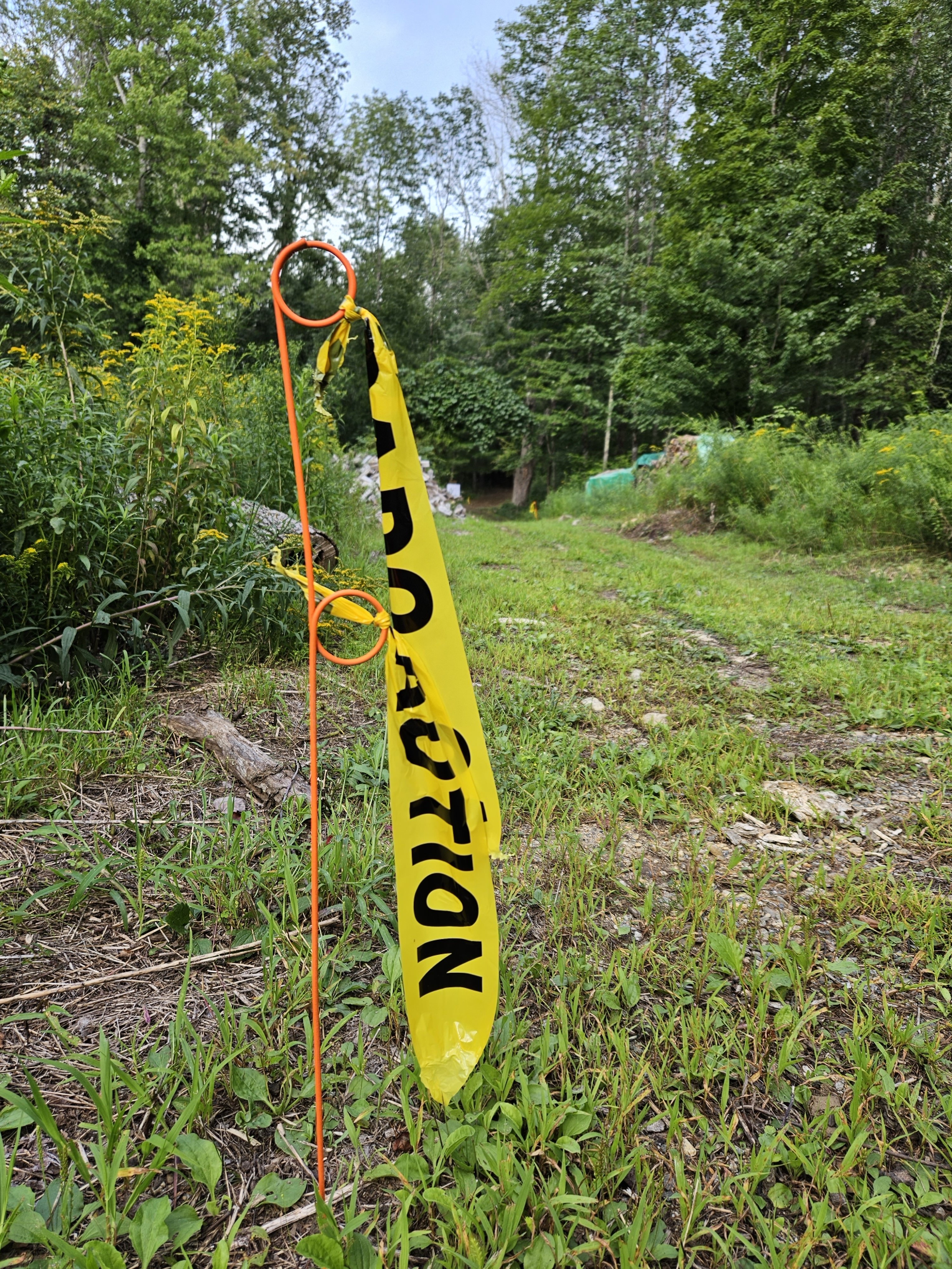 20230819_161316.jpg