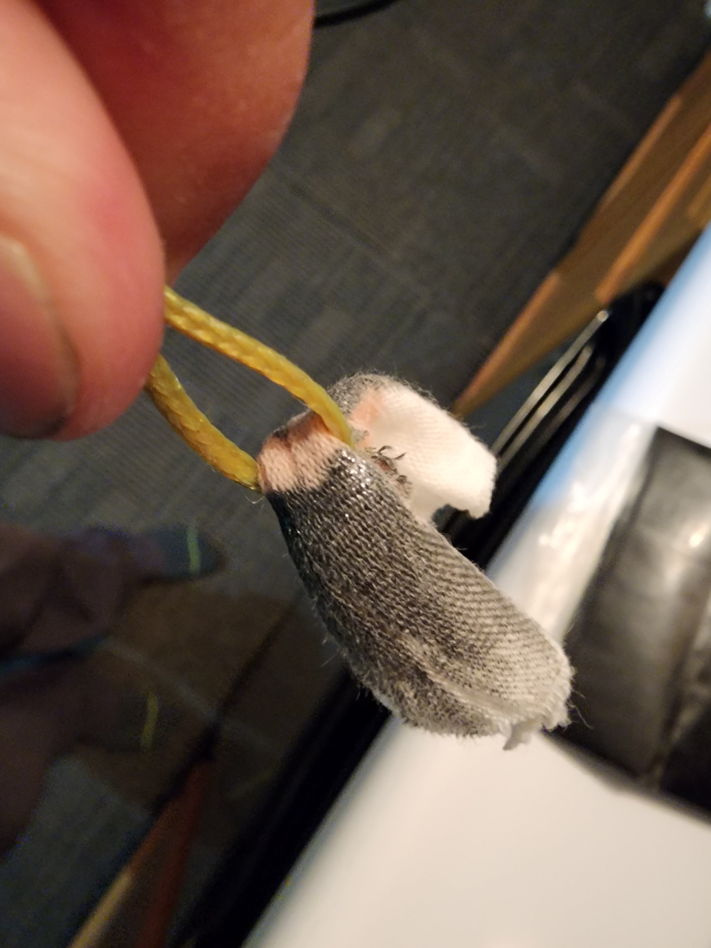 20230825_215243.jpg