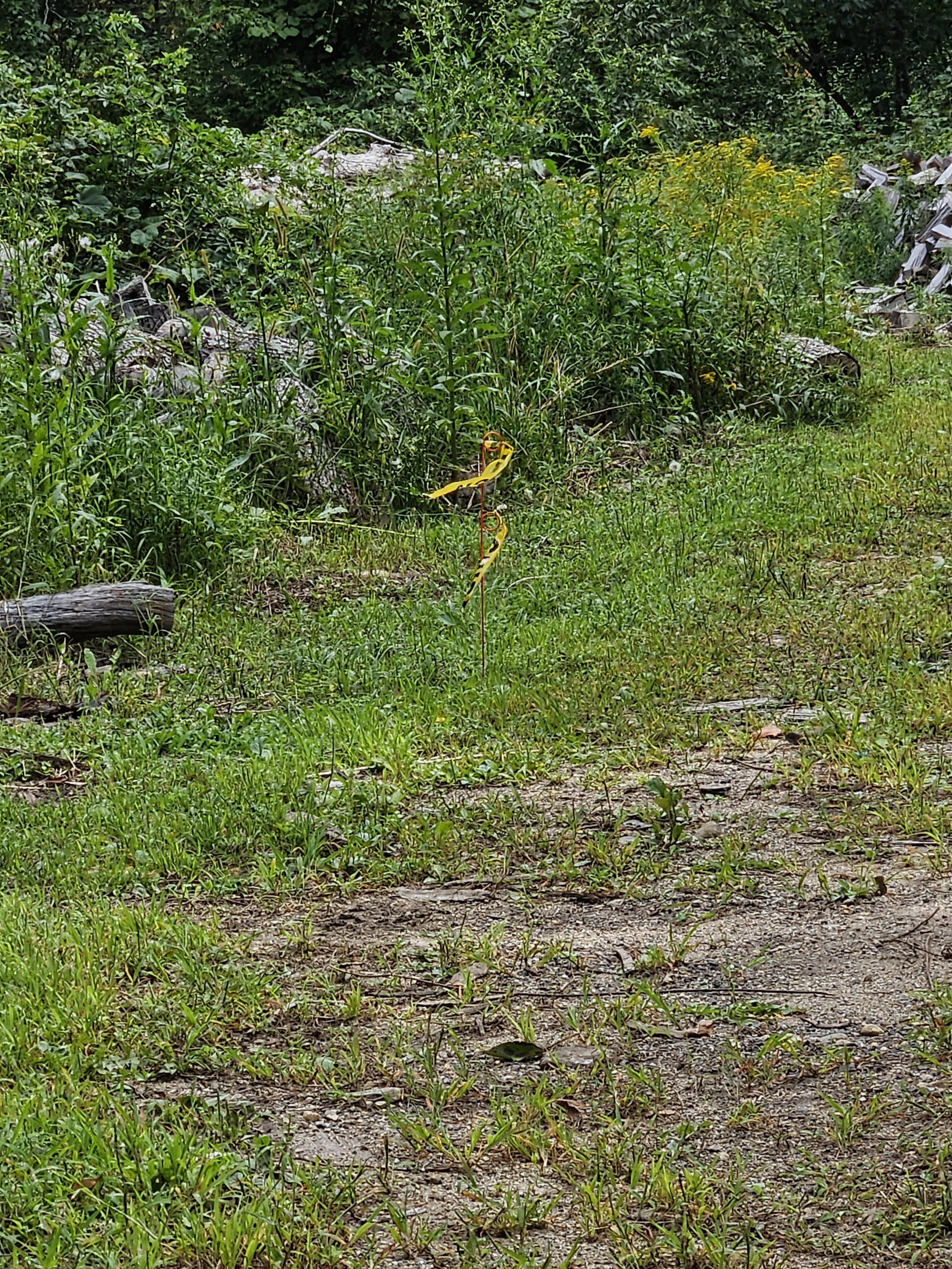 20230827_110857.jpg