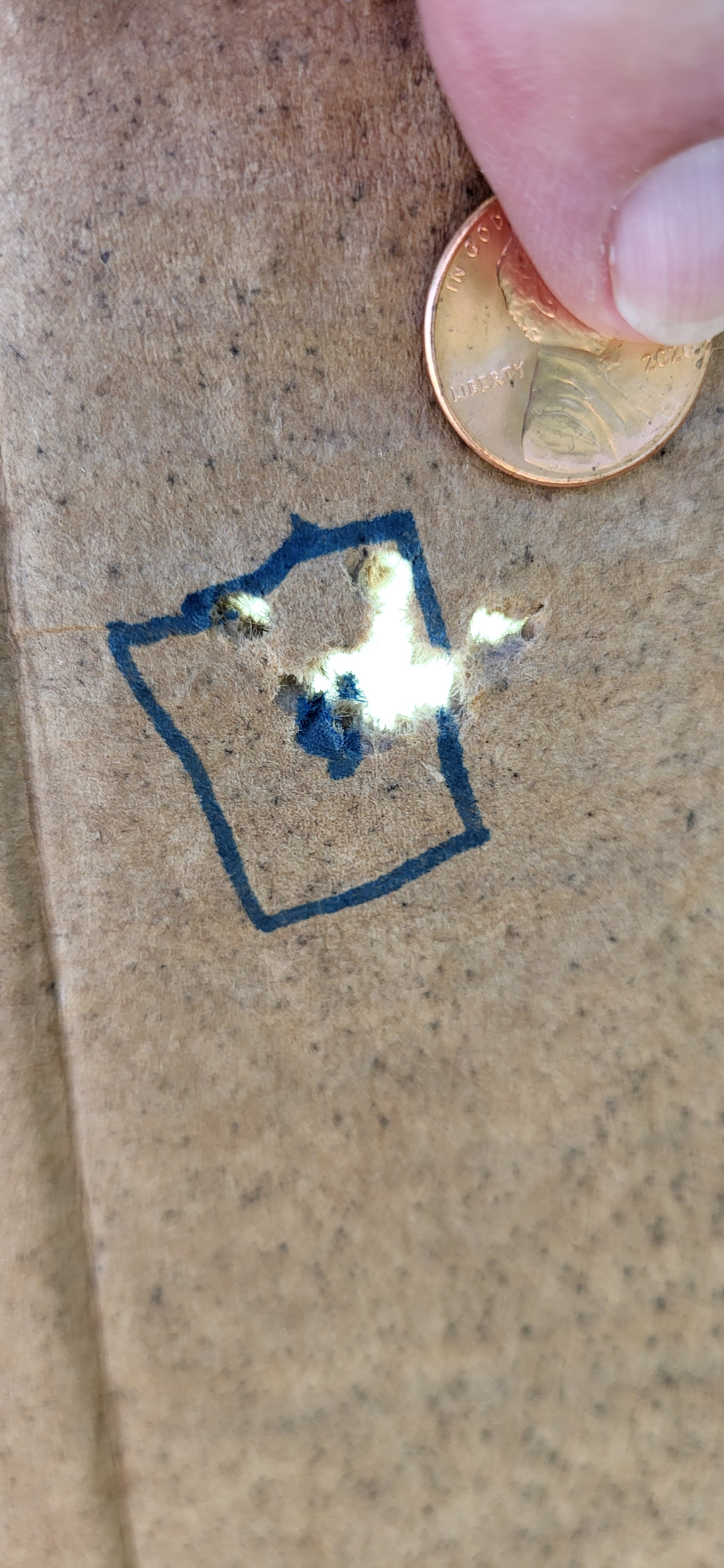 20230827_141122.jpg
