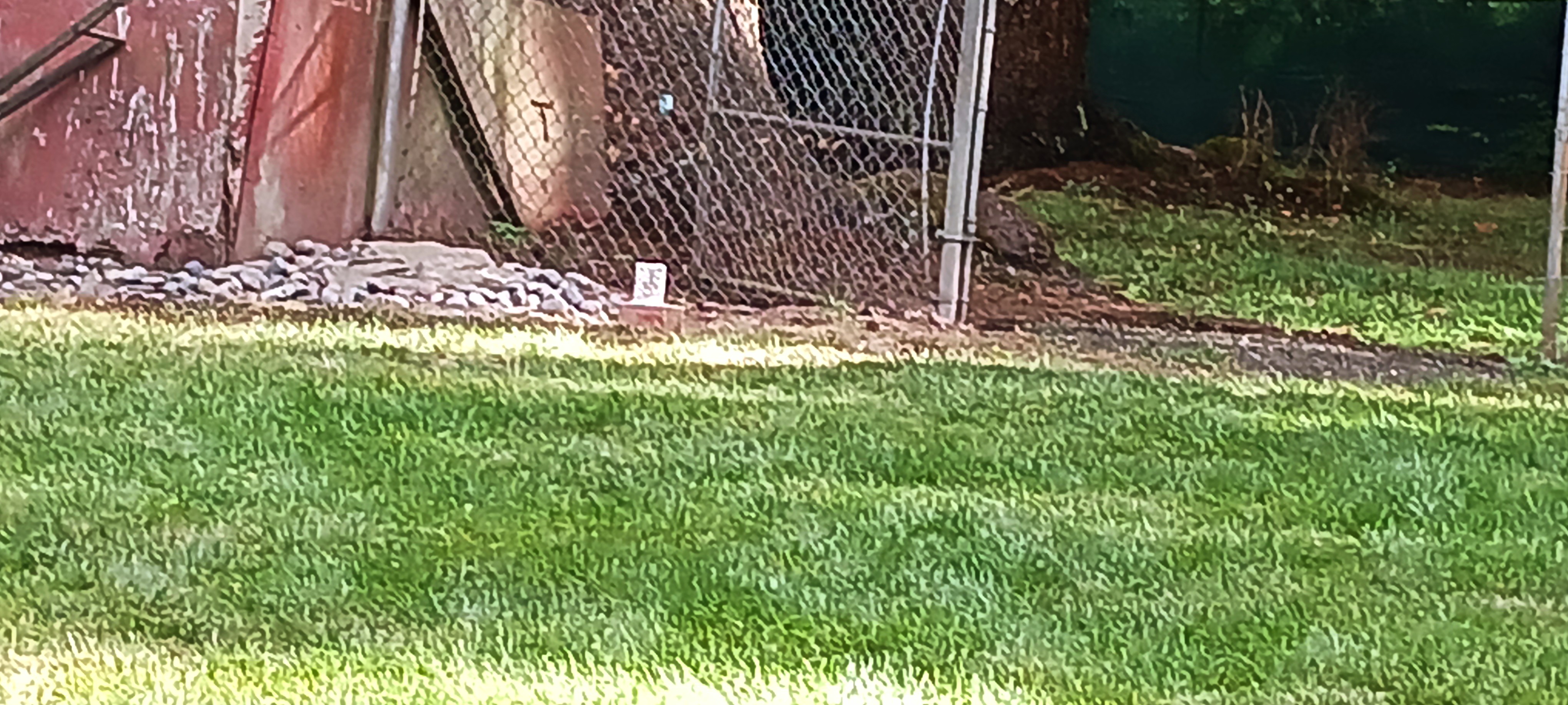 20230911_165915~2.jpg