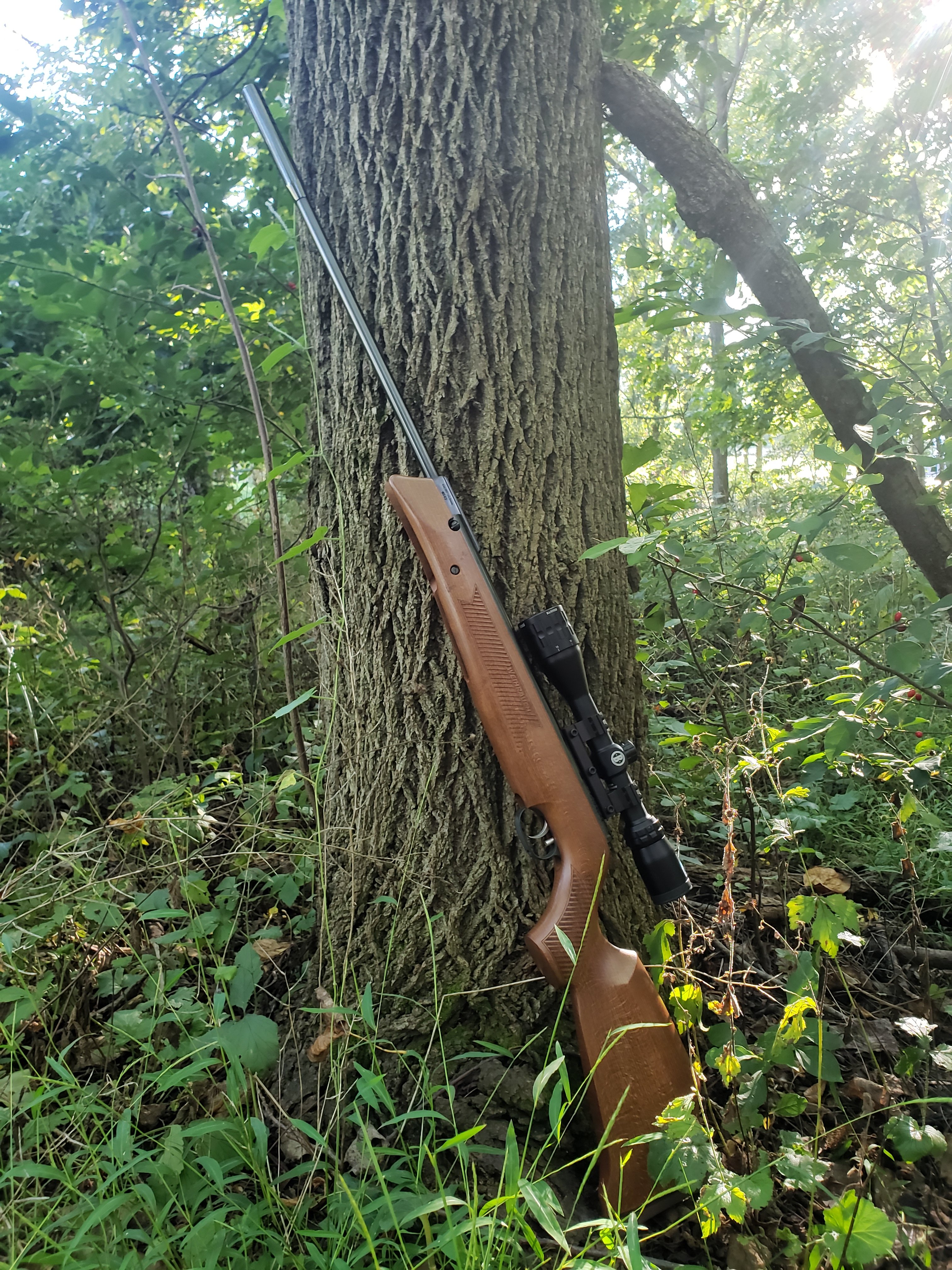 20230913_170256.jpg