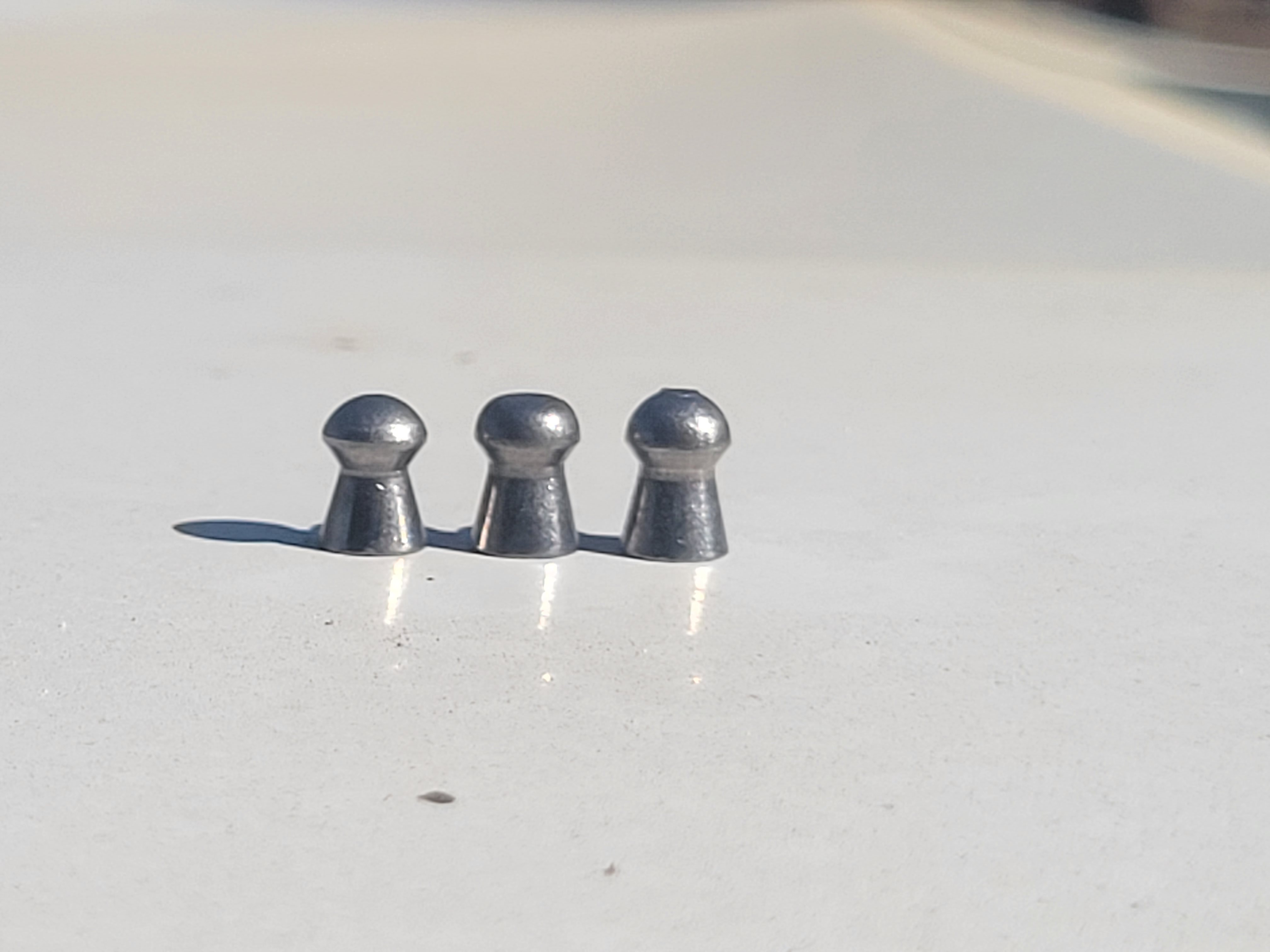 20230915_143221.jpg