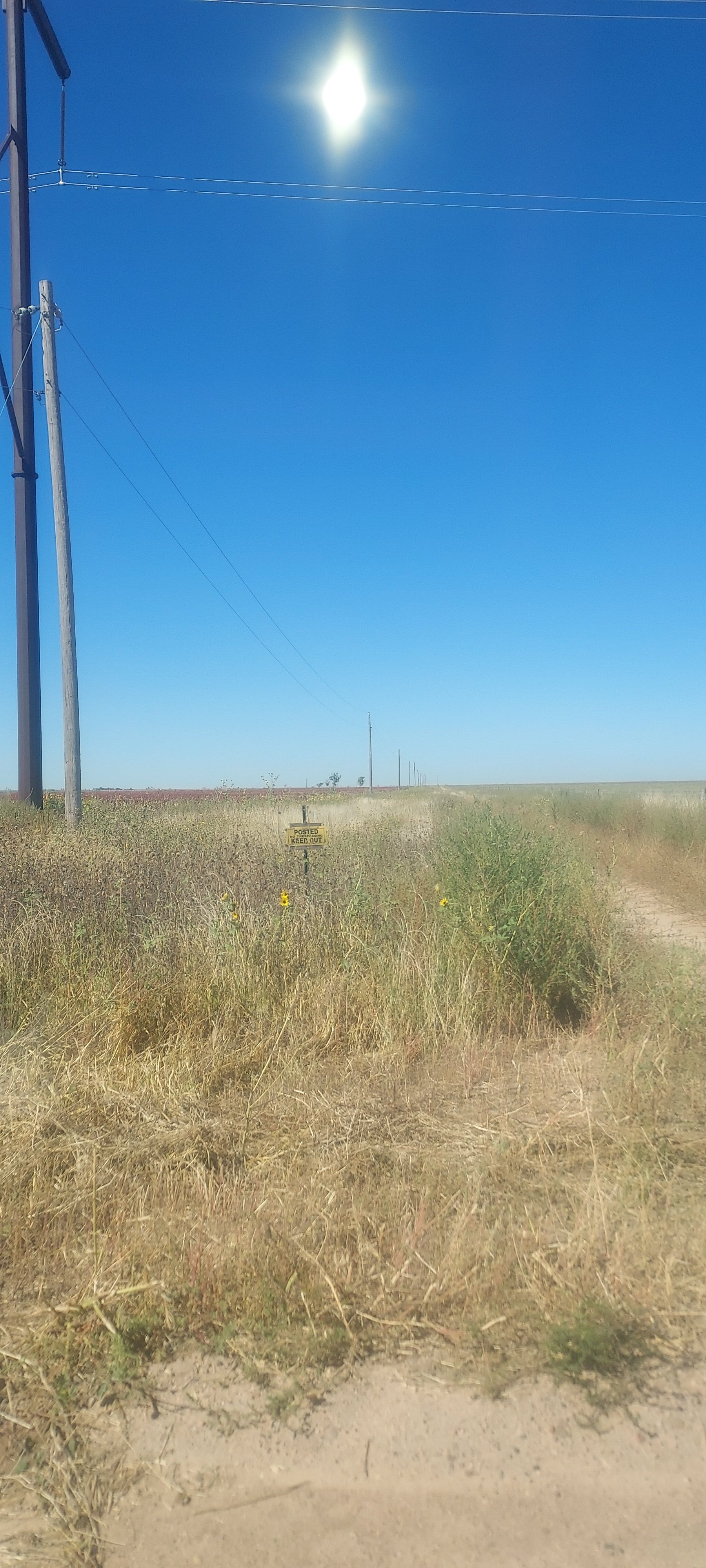 20230917_113750.jpg
