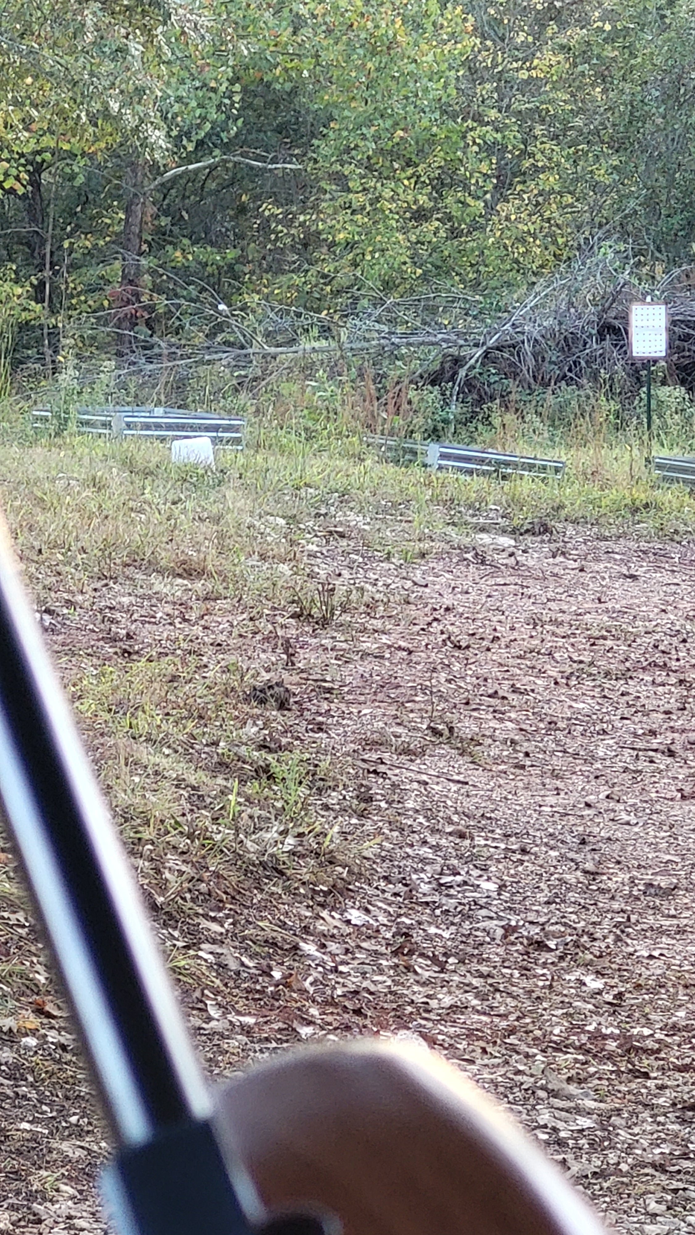 20231005_183052.jpg
