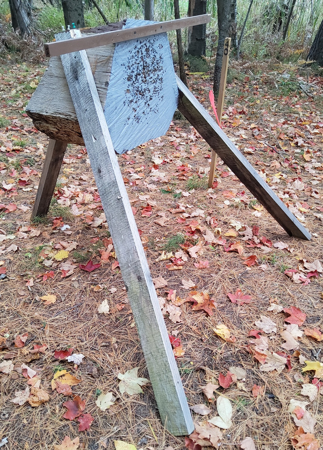 20231016_150751.jpg