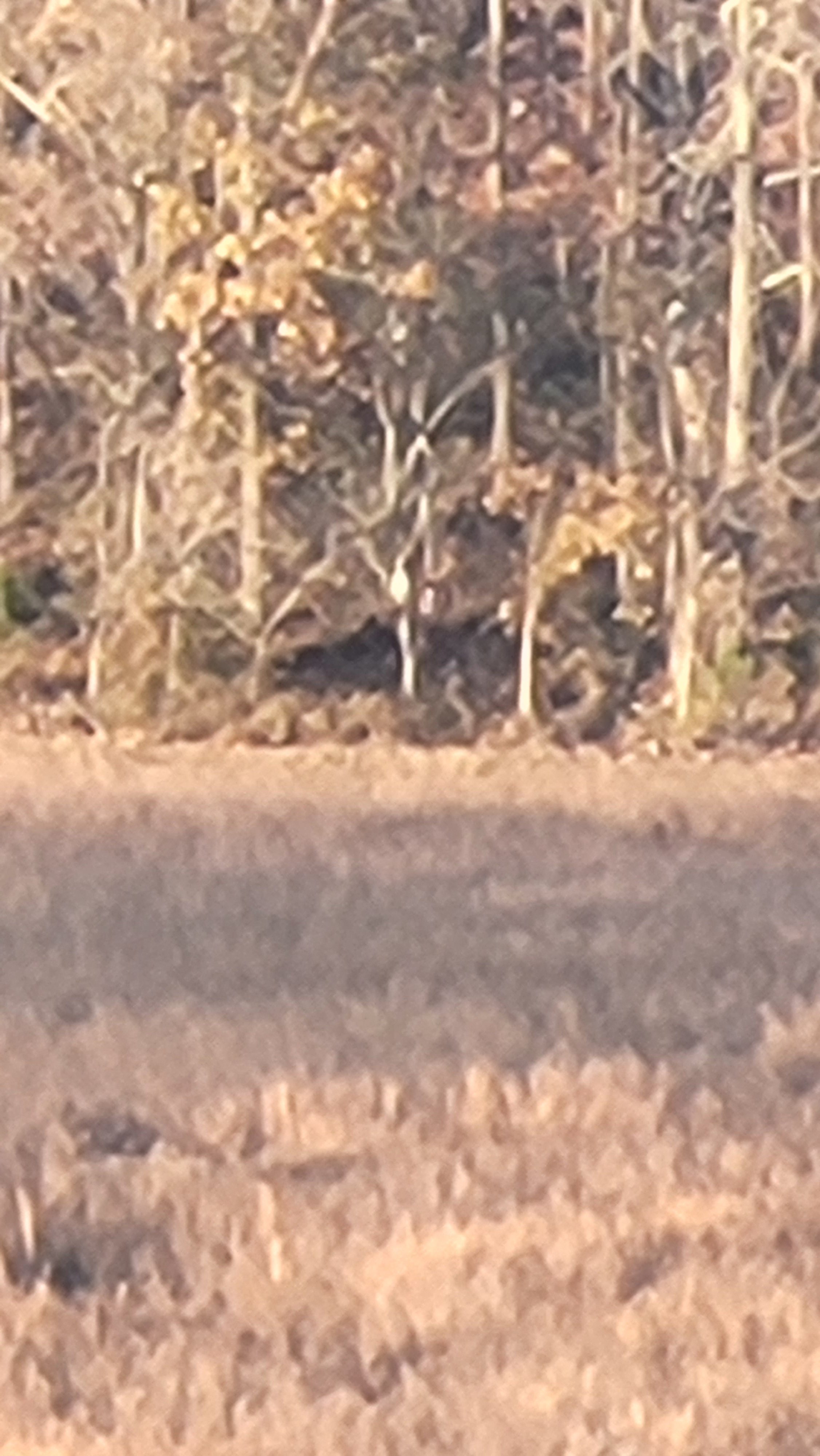 20231105_162619.jpg