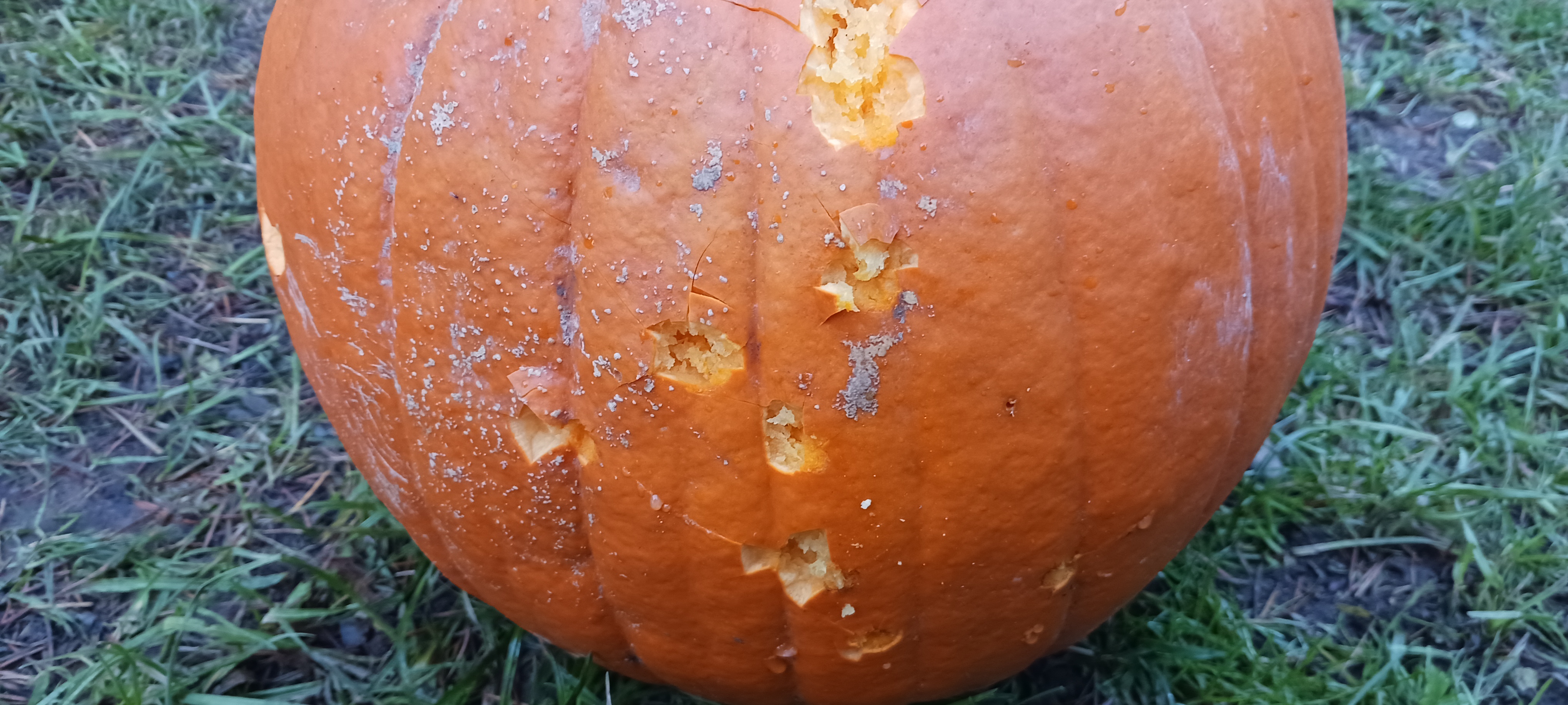 20231127_153135.jpg