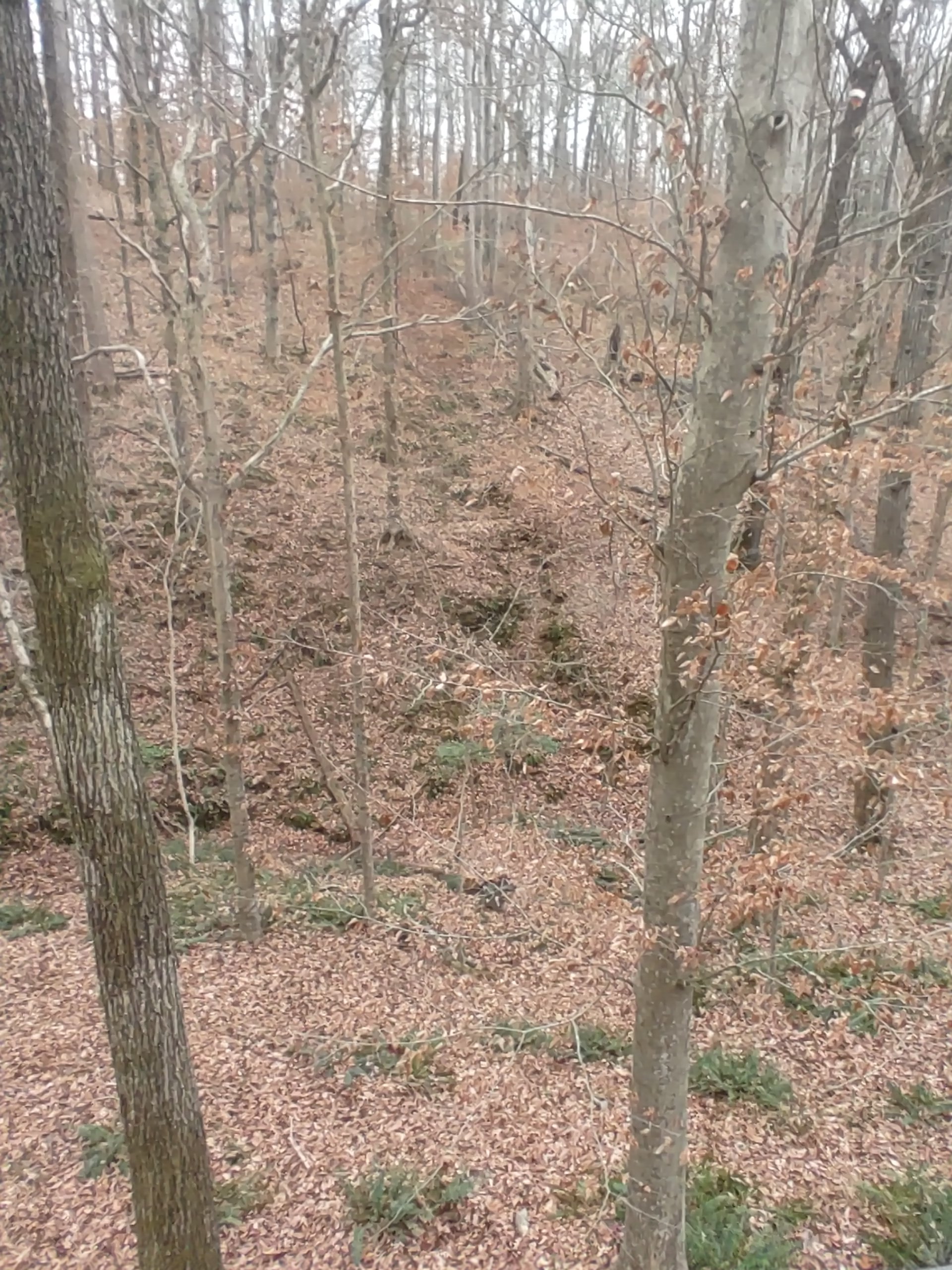20231206_081201_HDR.jpg