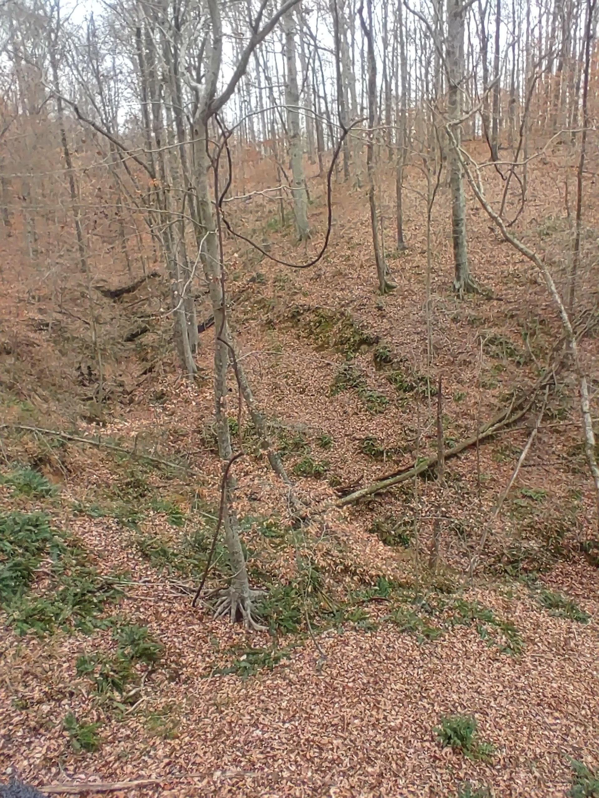 20231206_081205_HDR.jpg