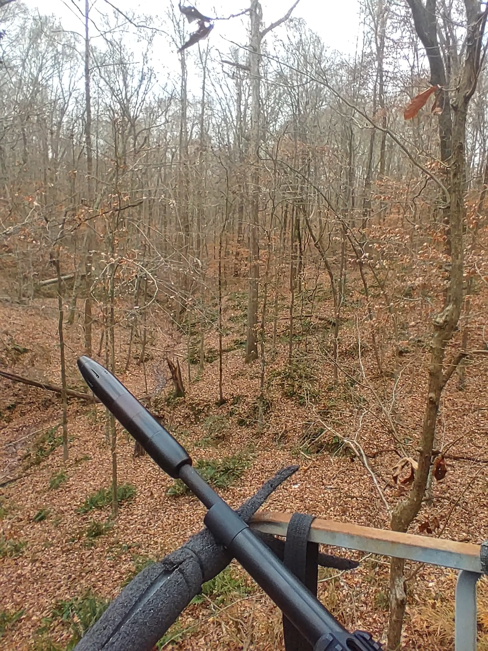20231206_081209_HDR.jpg