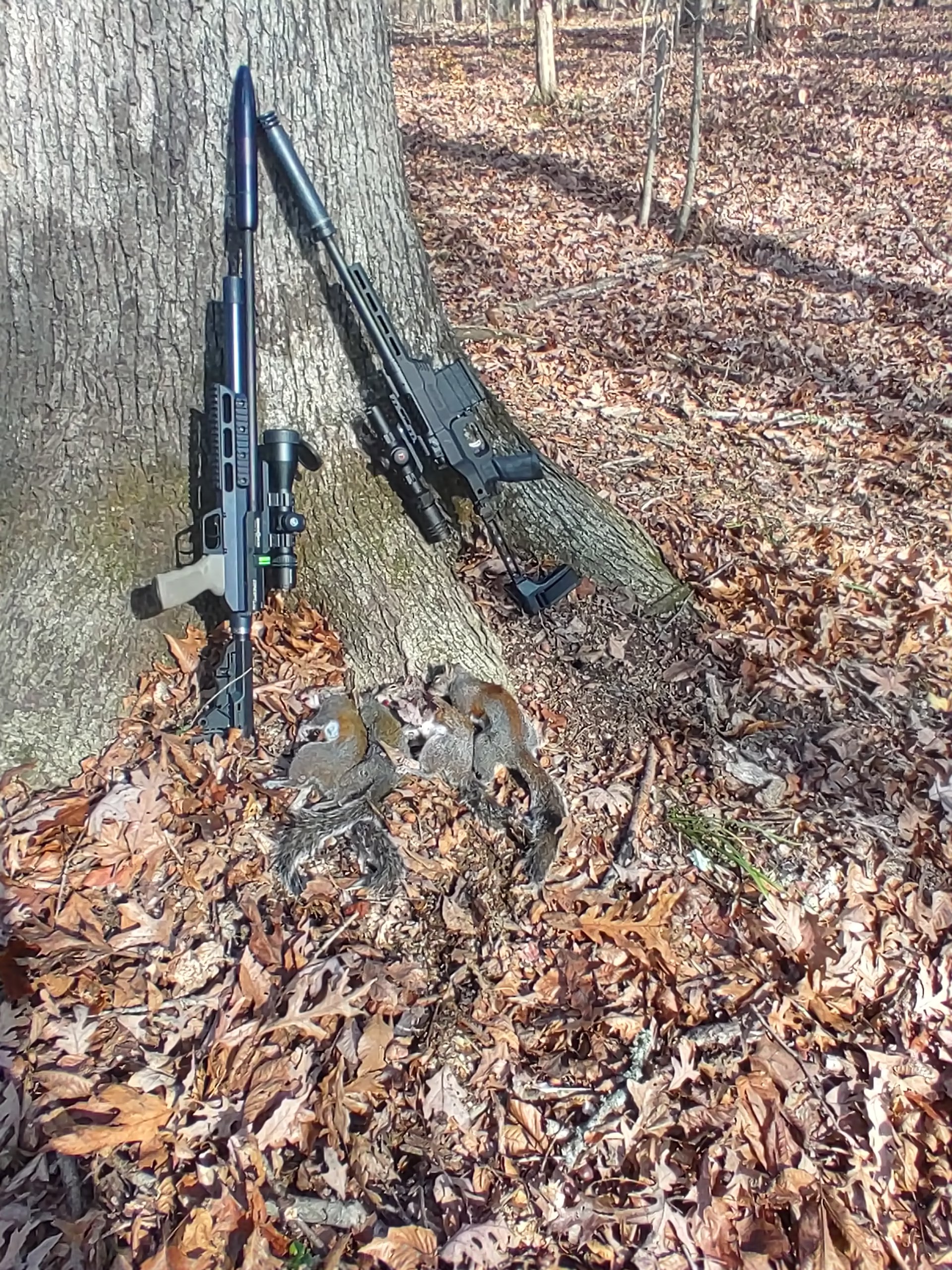 20231206_105023_HDR.jpg