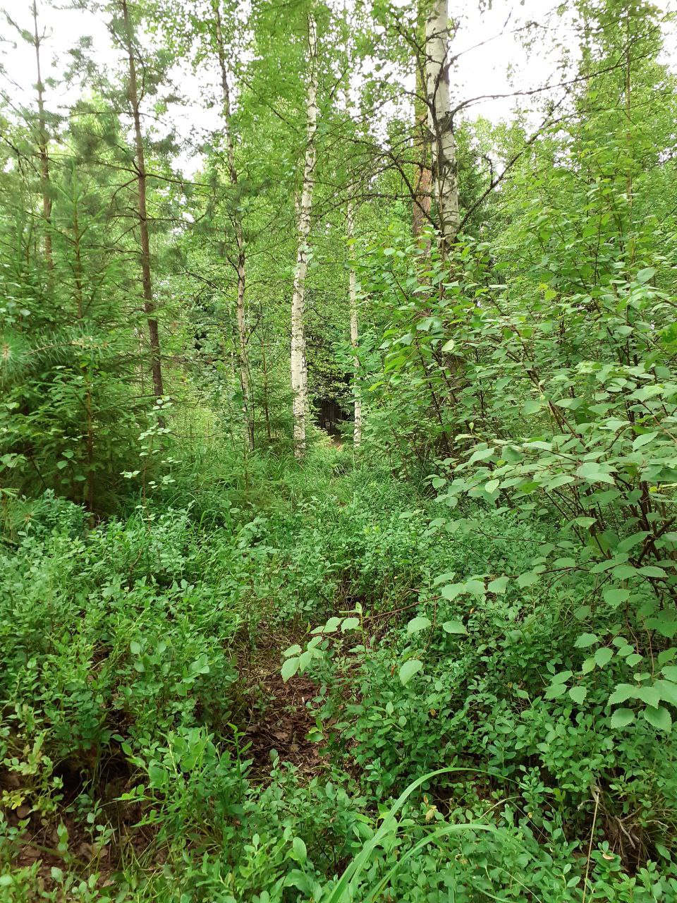 2024-07-04 01.14.26.jpg