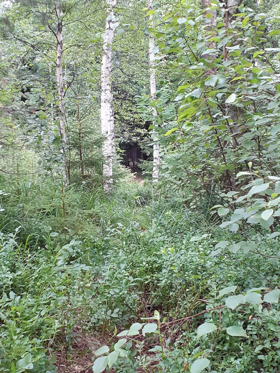 2024-07-04 01.14.32.jpg