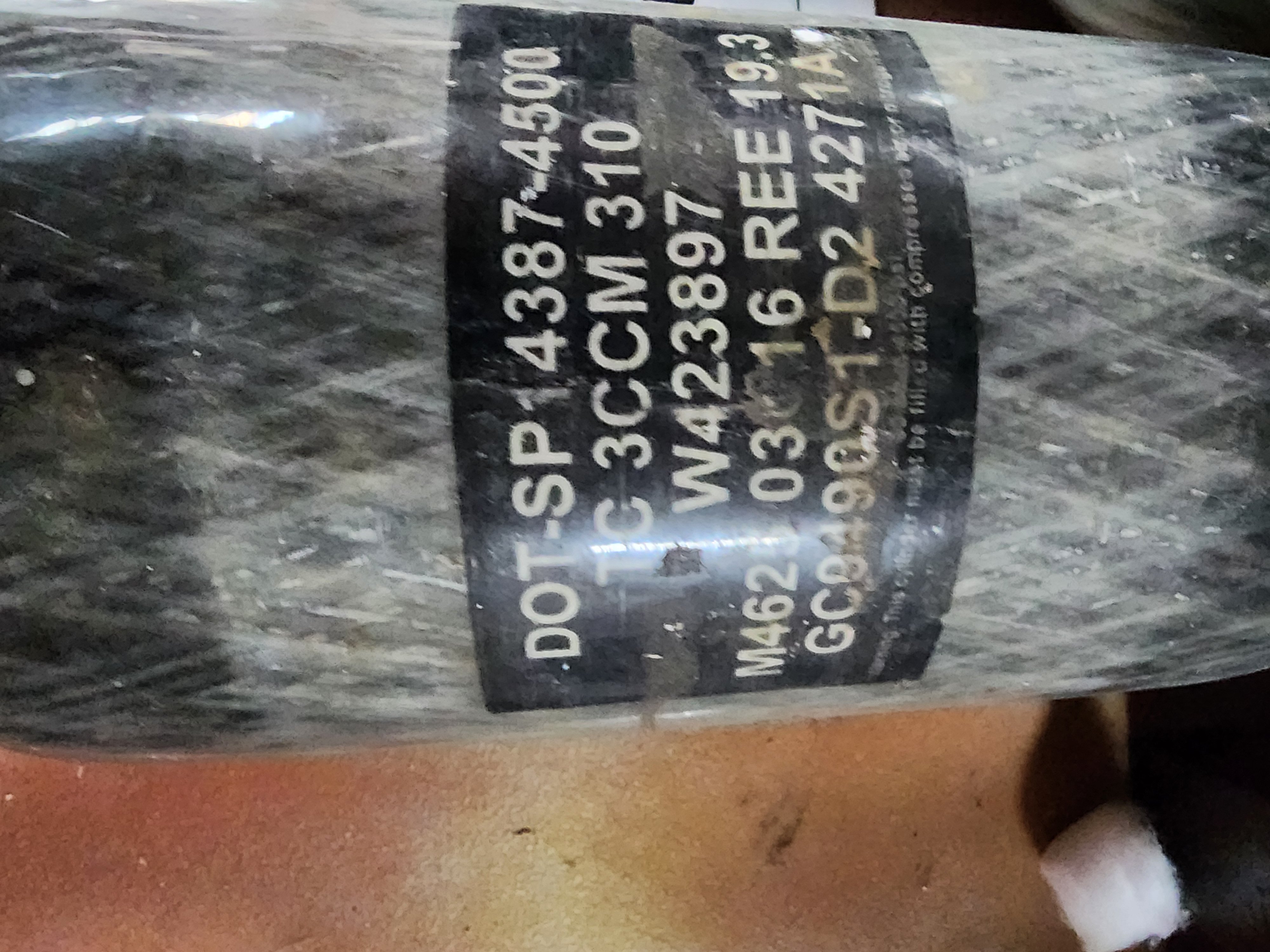 20240216_125234.jpg
