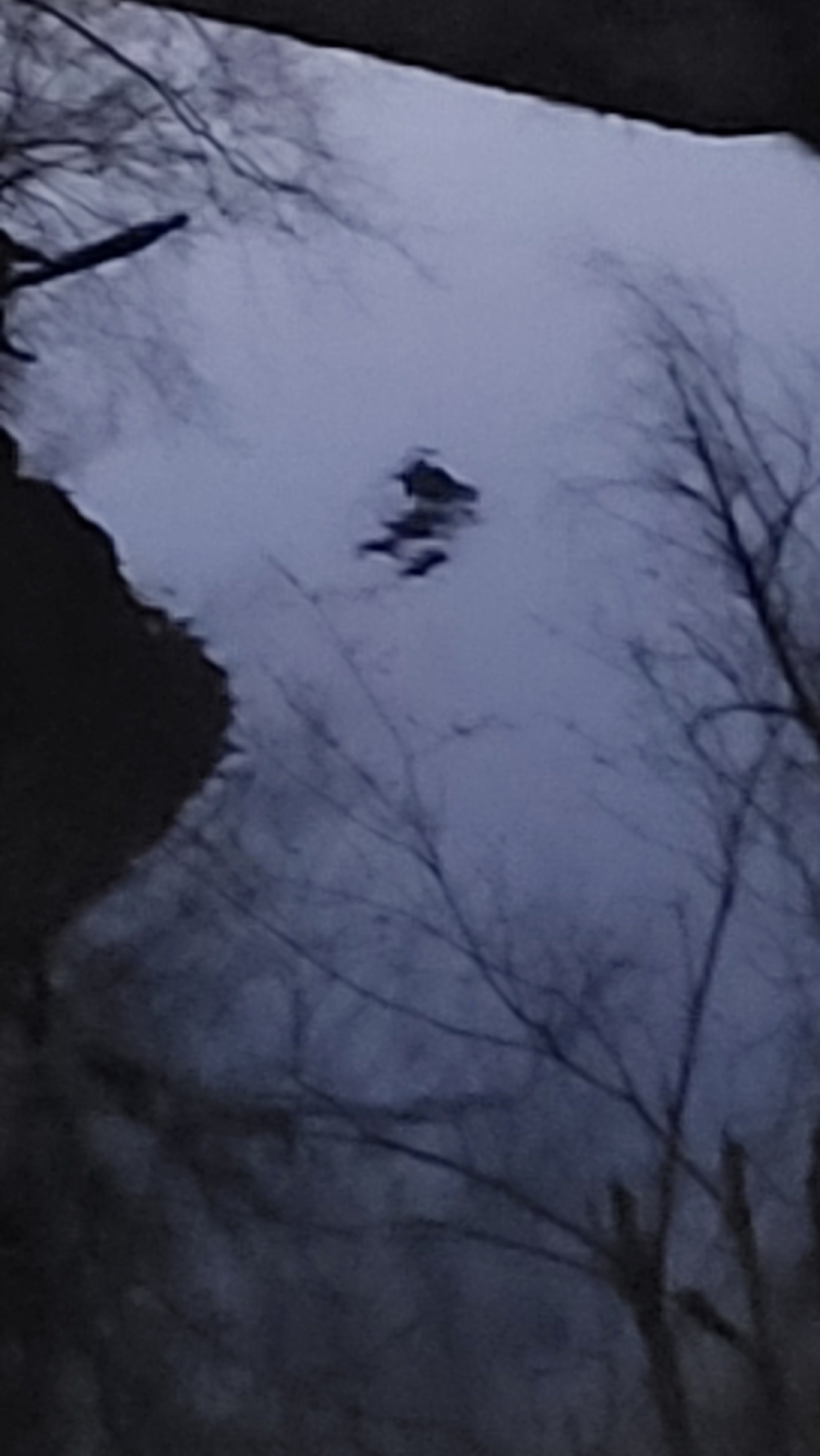 20240319_195041.jpg