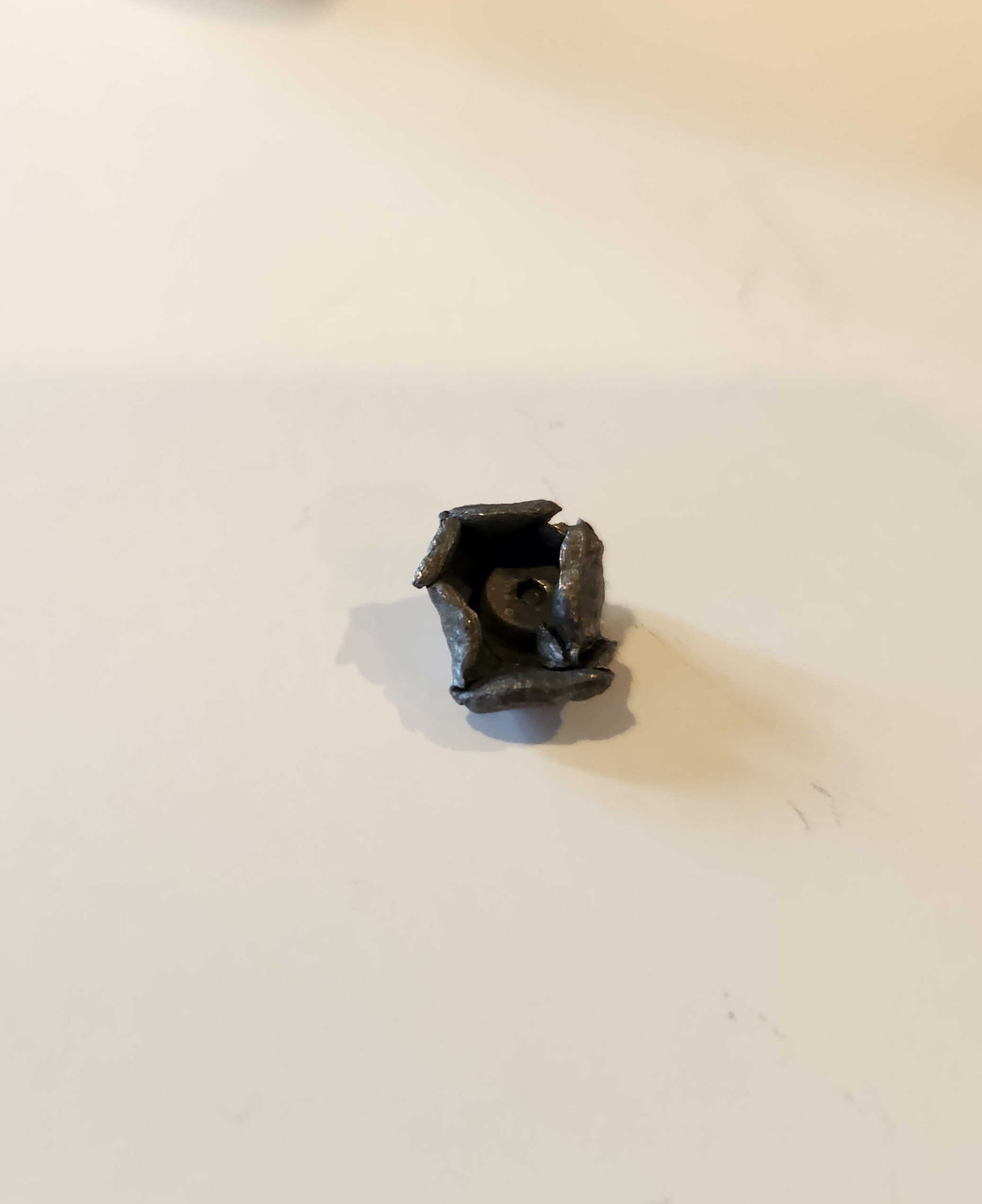 20240404_175944.jpg