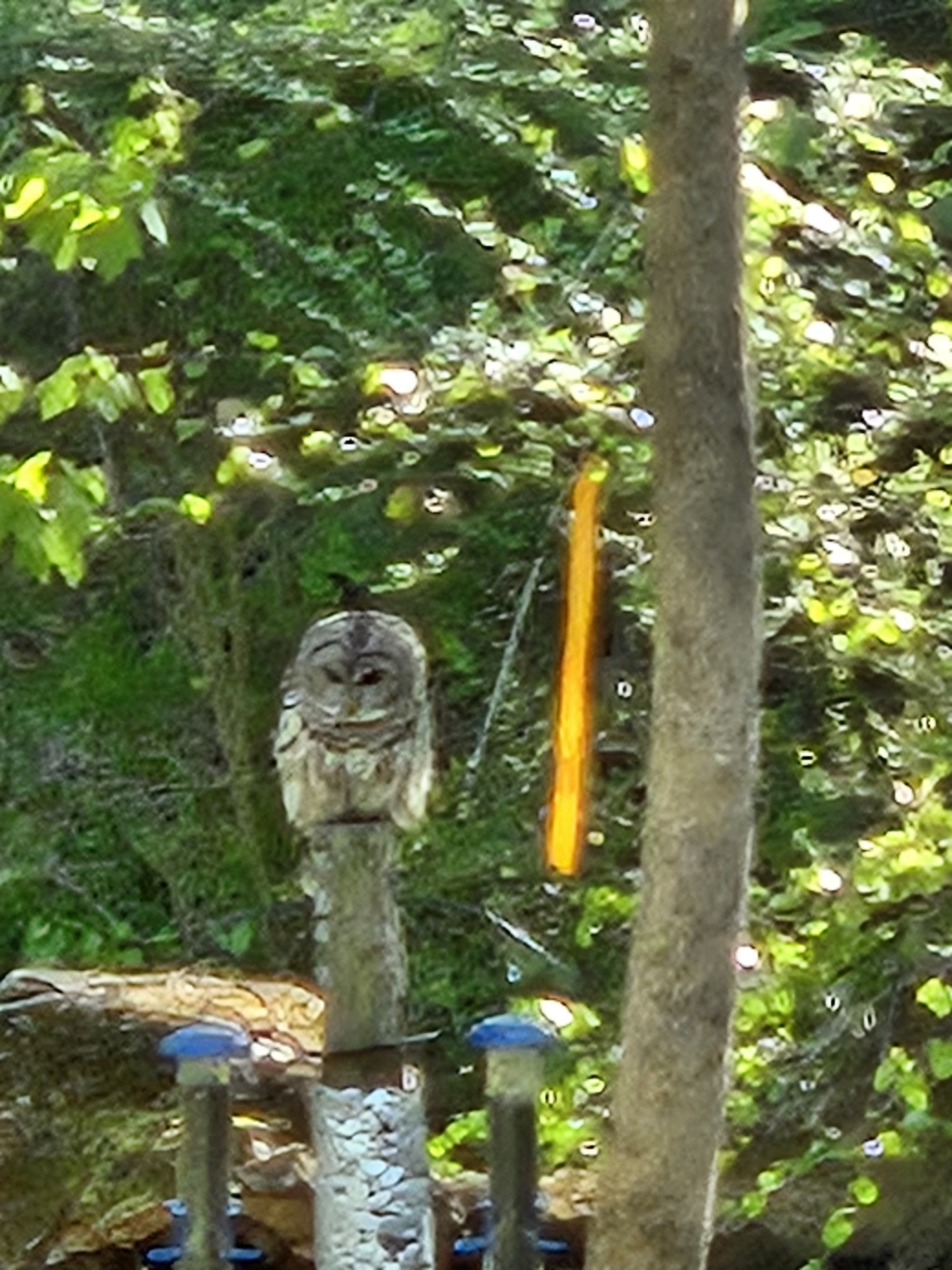 20240407_093222.jpg