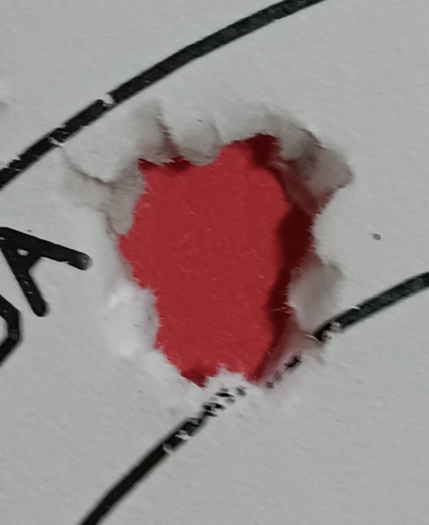 20240417_172914.jpg