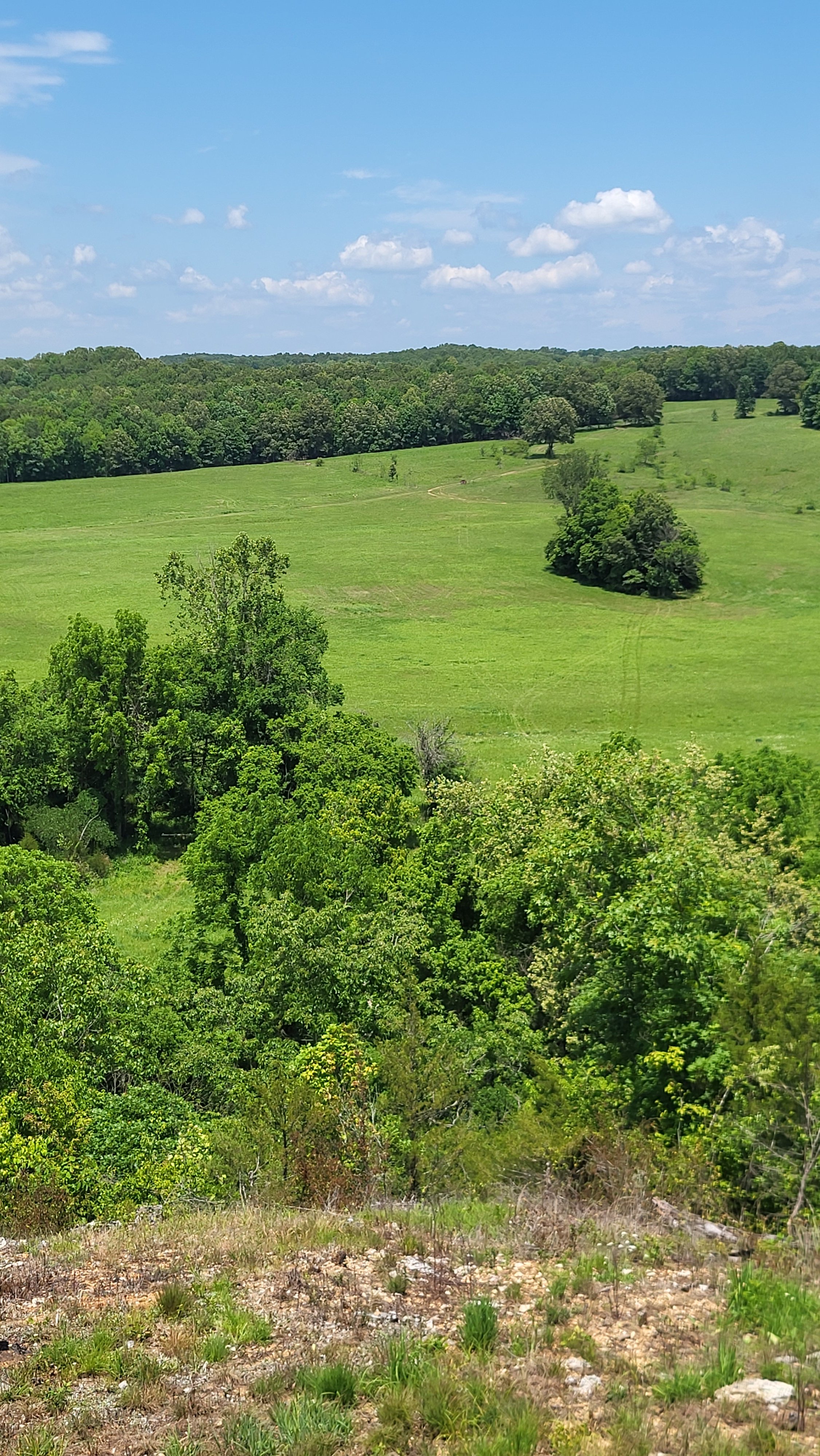 20240520_130749.jpg