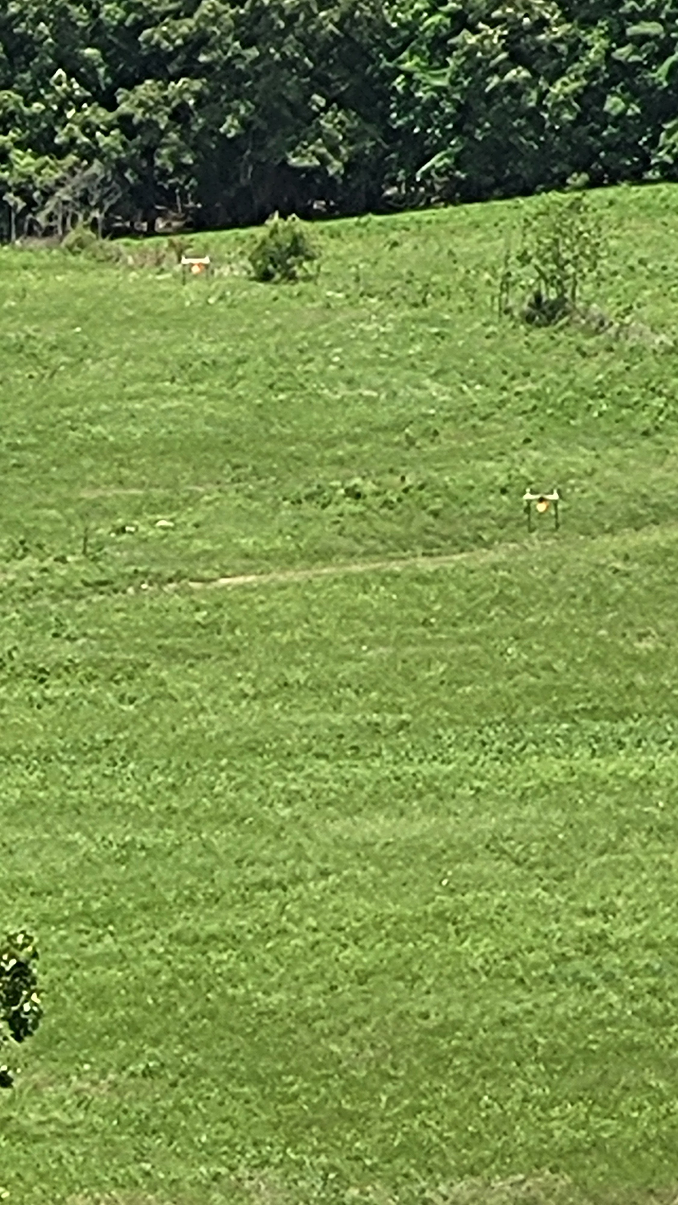 20240520_130807.jpg