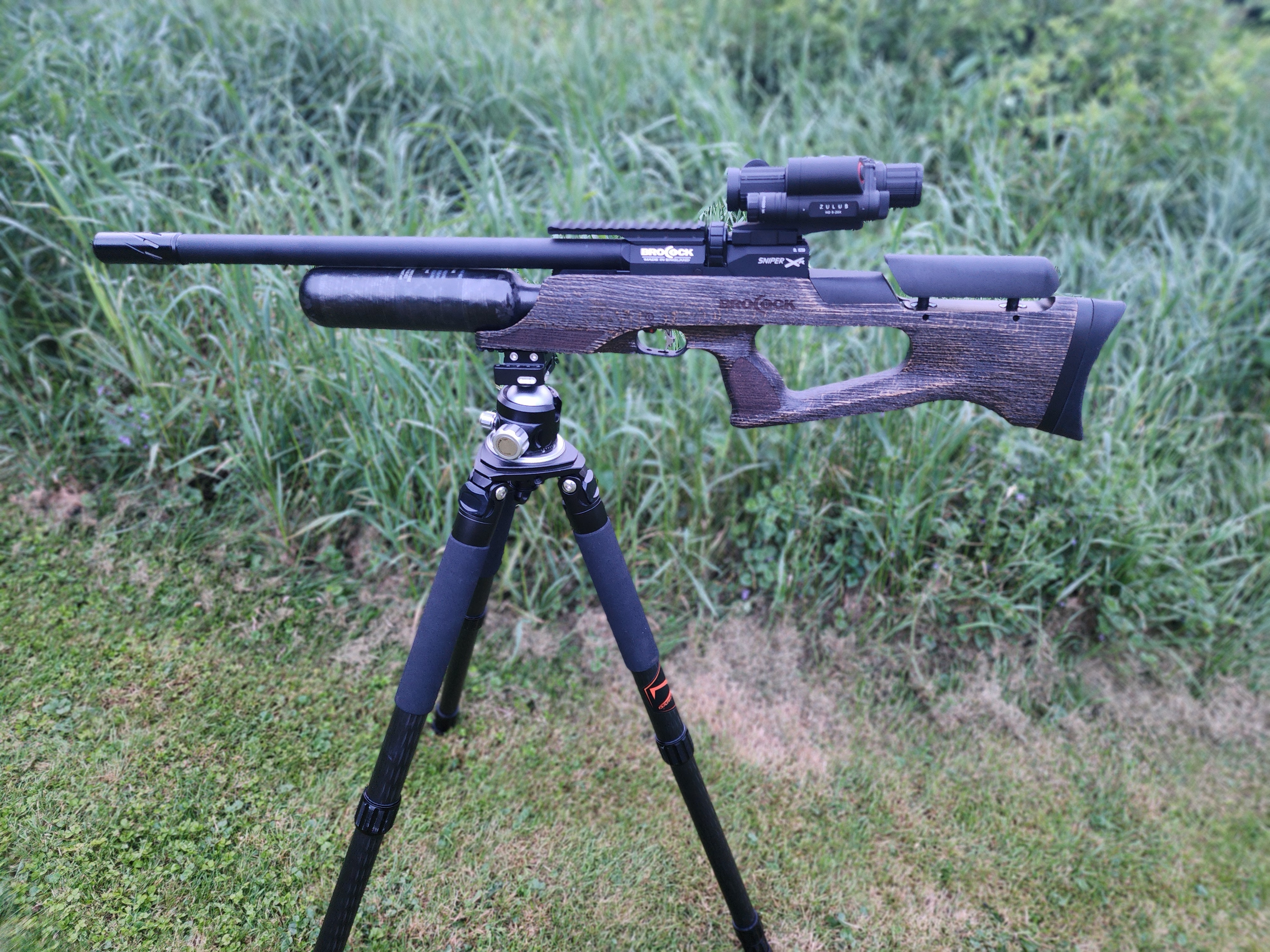 20240525_201341.jpg