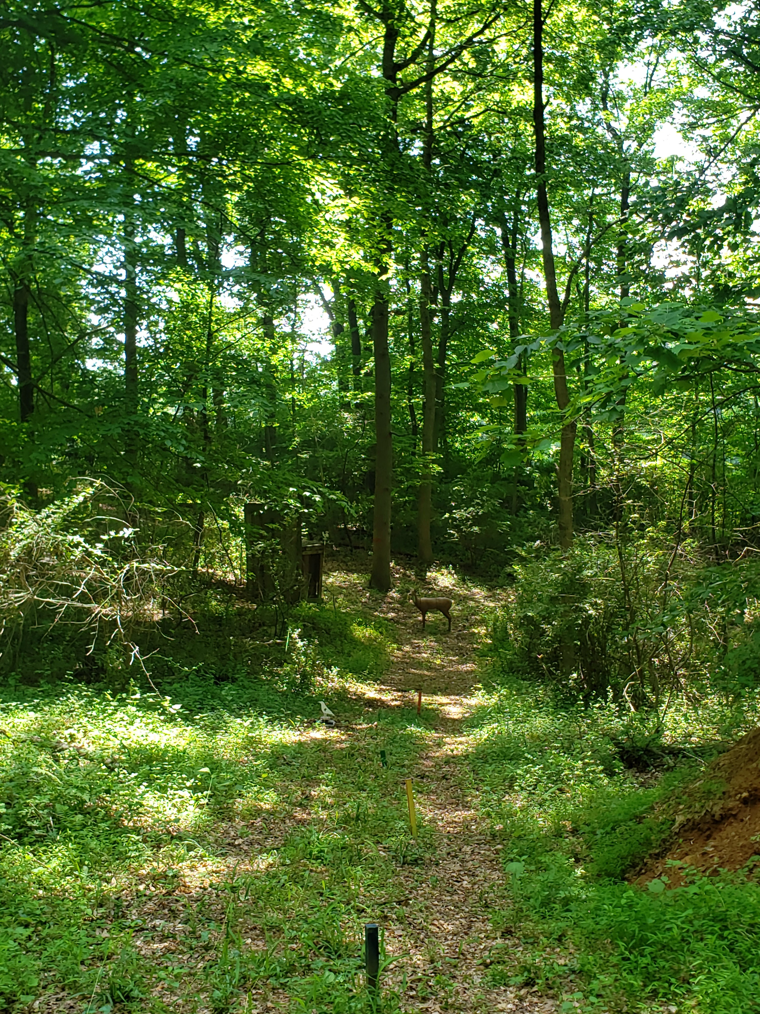 20240526_115141.jpg
