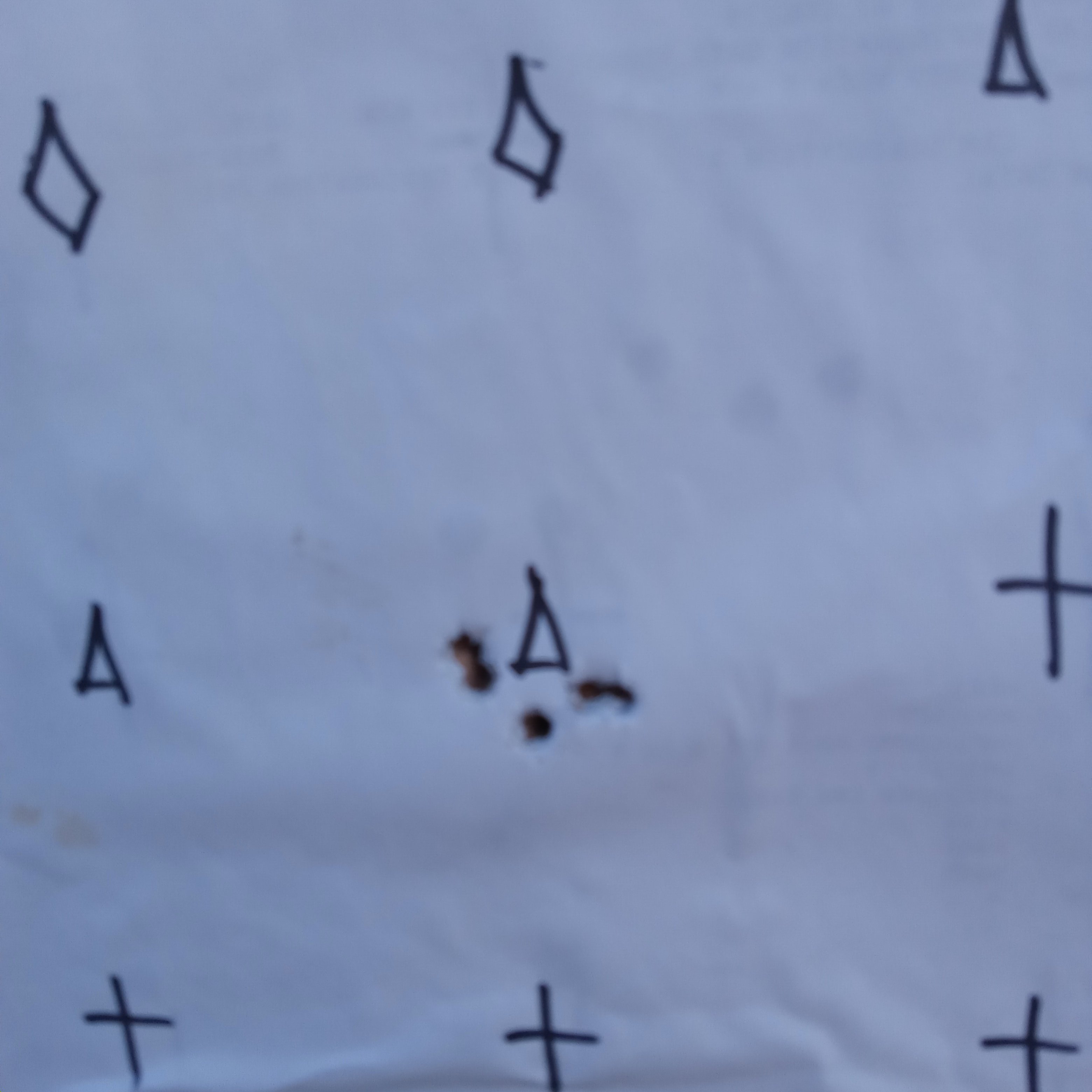 20240529_200912.jpg