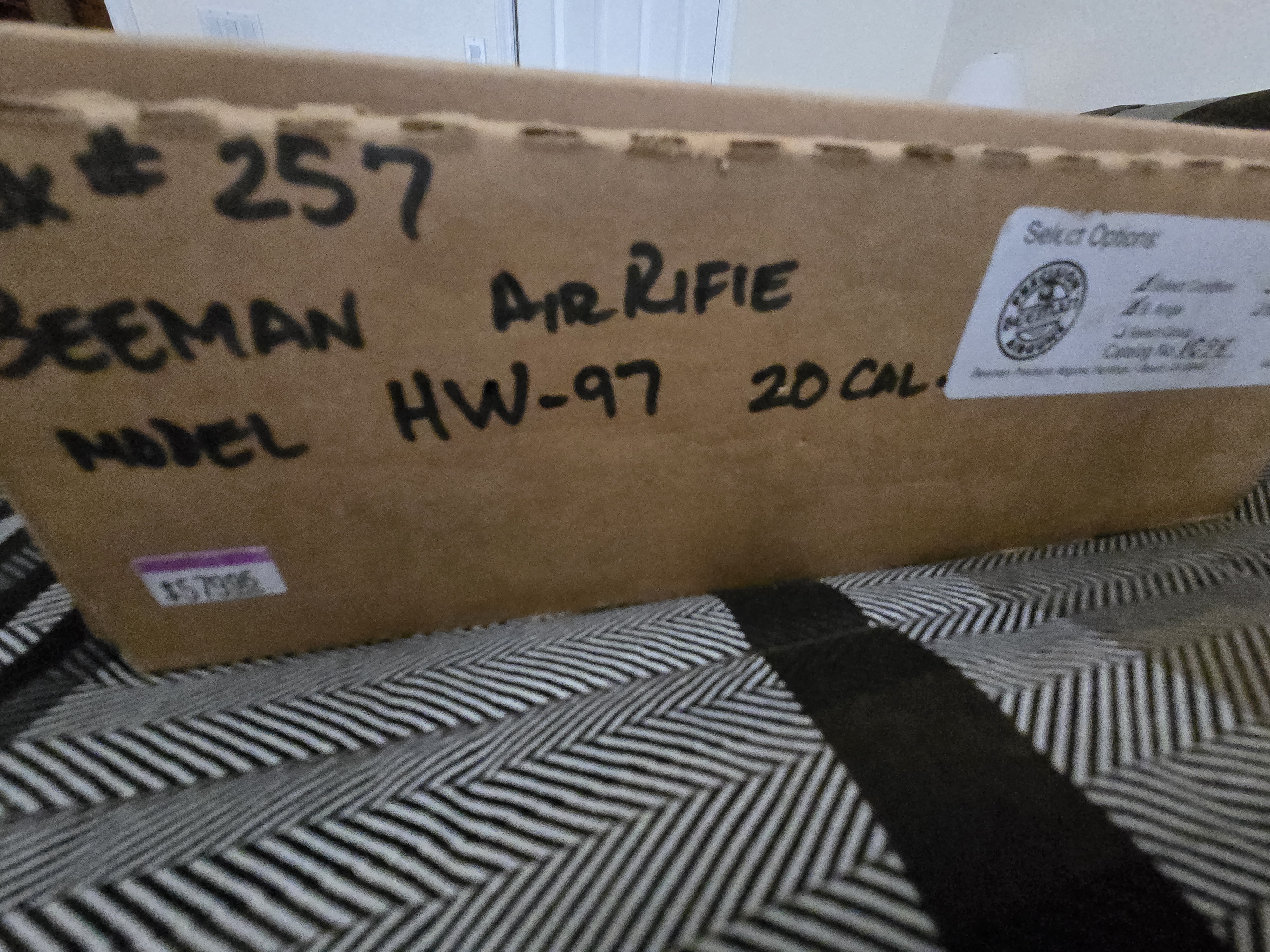 20240602_171309.jpg