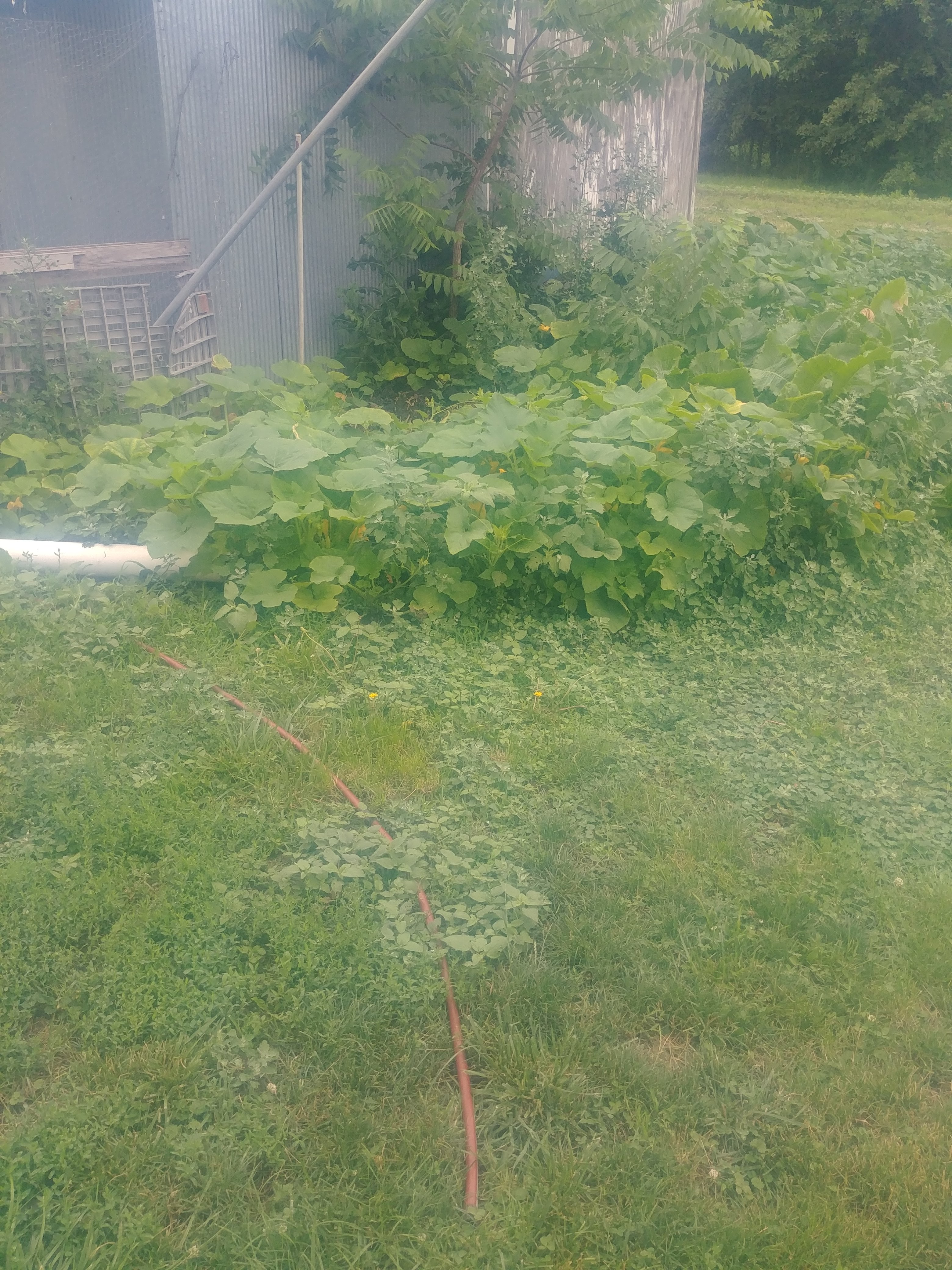 20240619_152329.jpg