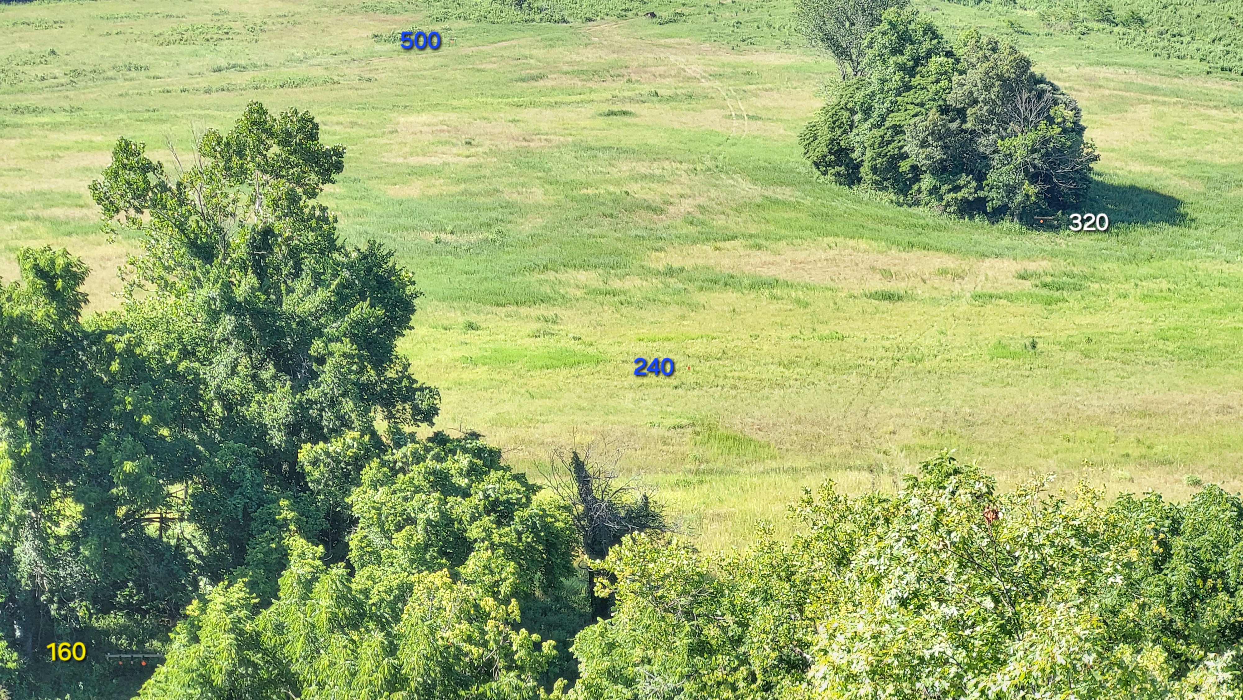 20240707_164040.jpg