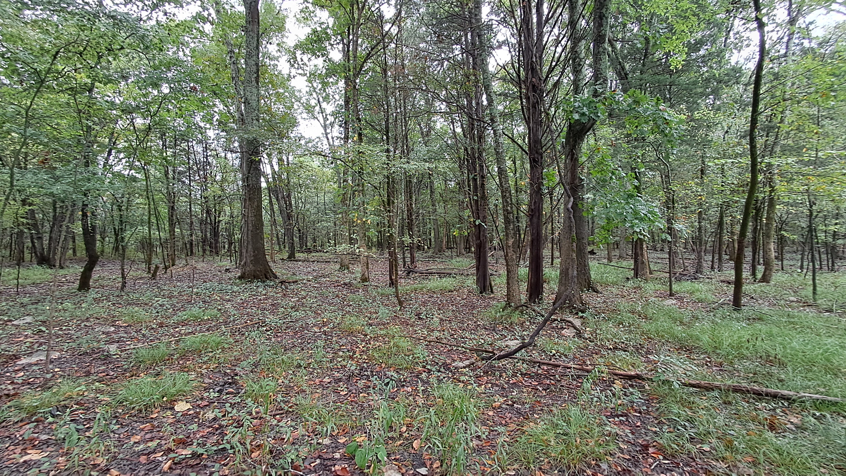 20240925_092218.jpg