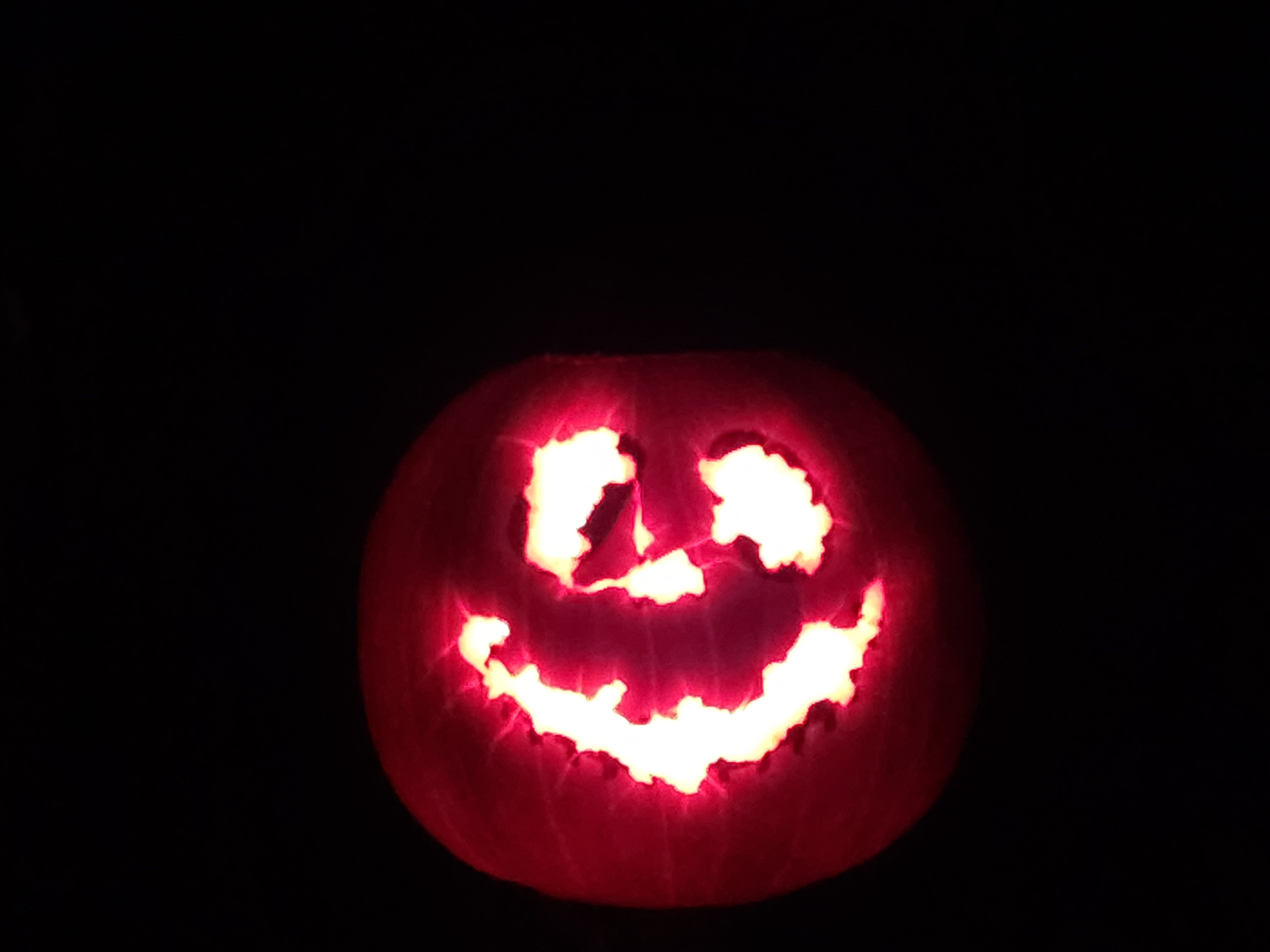 20241011_210535.jpg