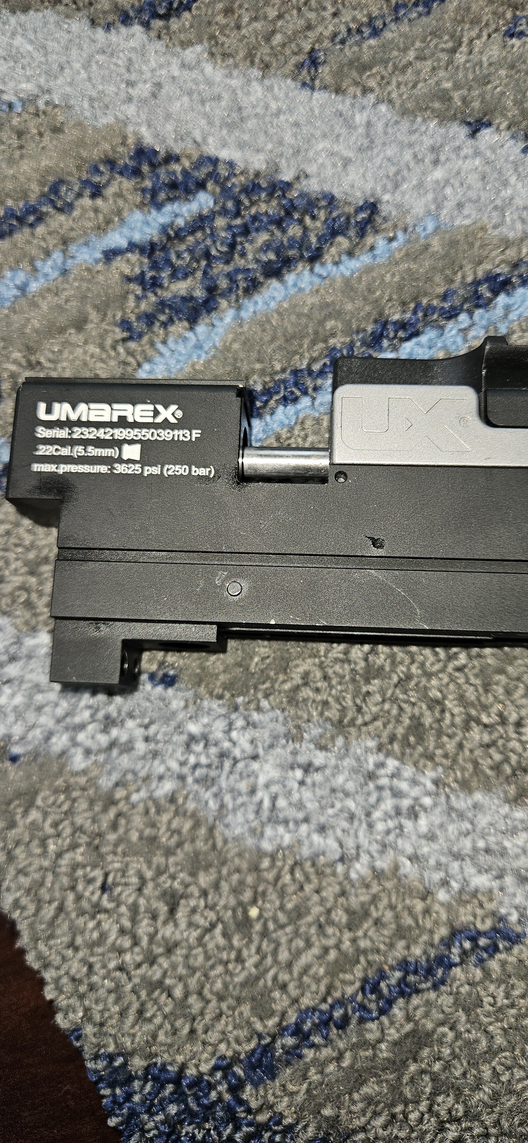 20241210_111026.jpg