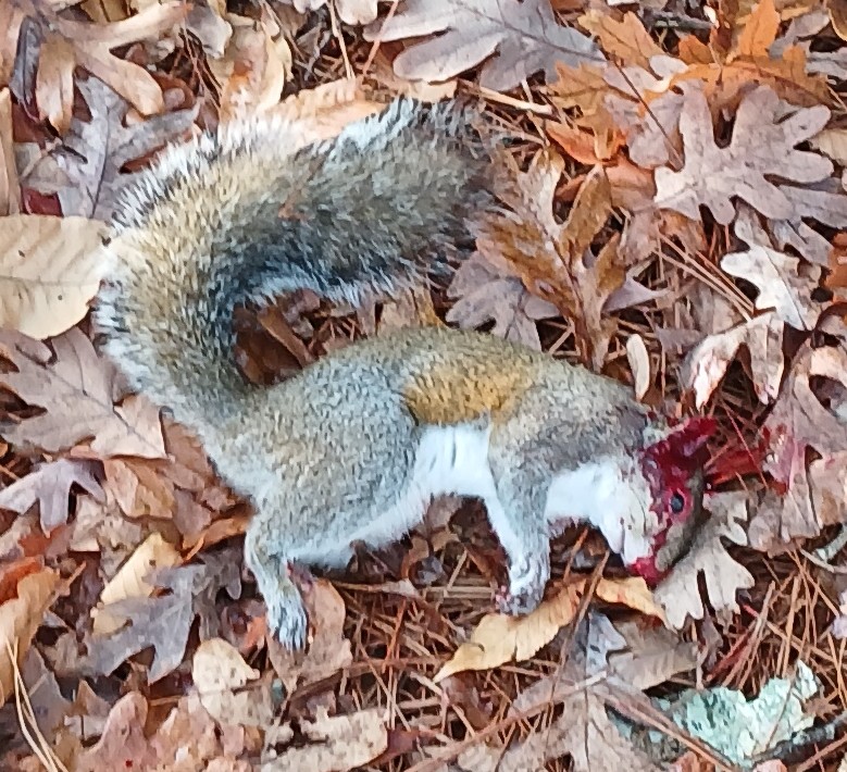 20241220_082255.jpg