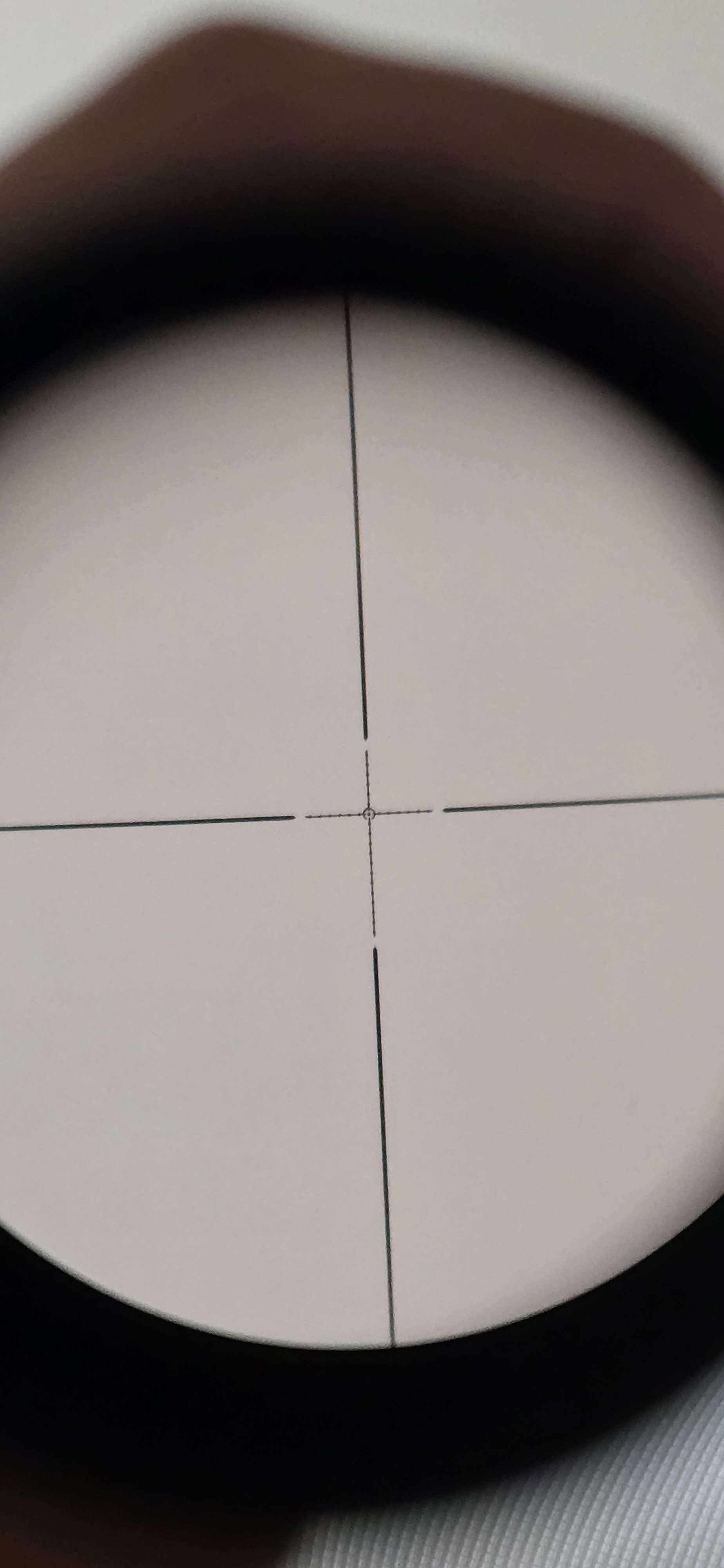 20250105_101334.jpg