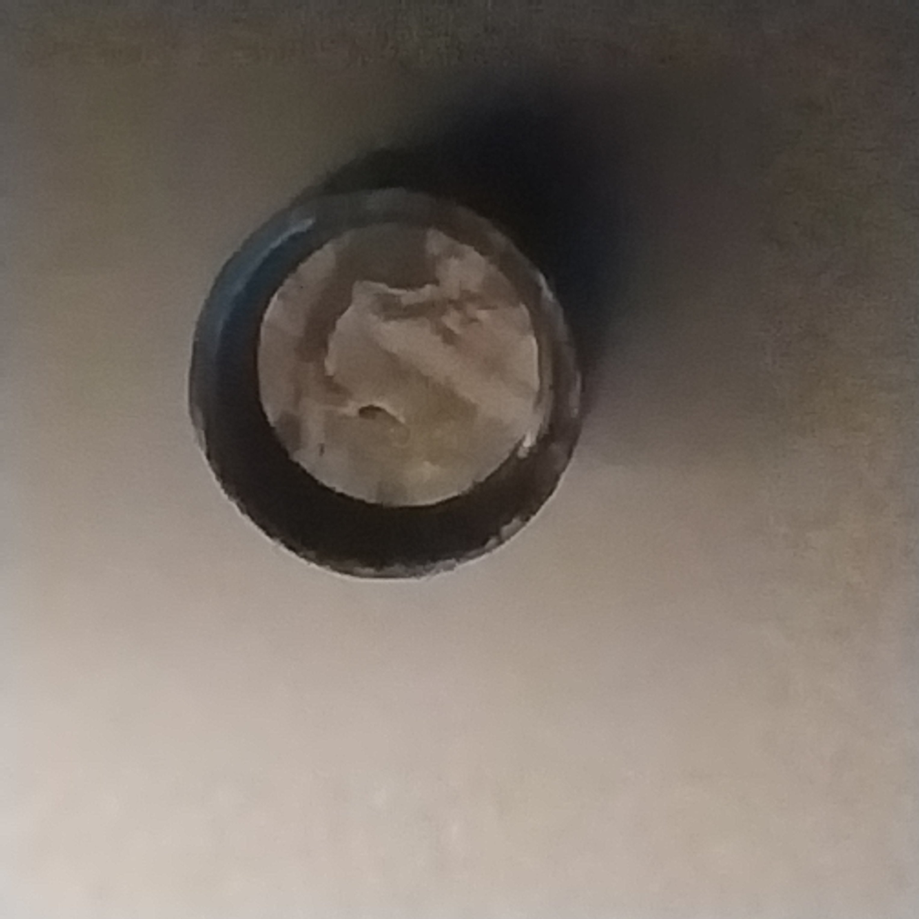 20250105_165930.jpg