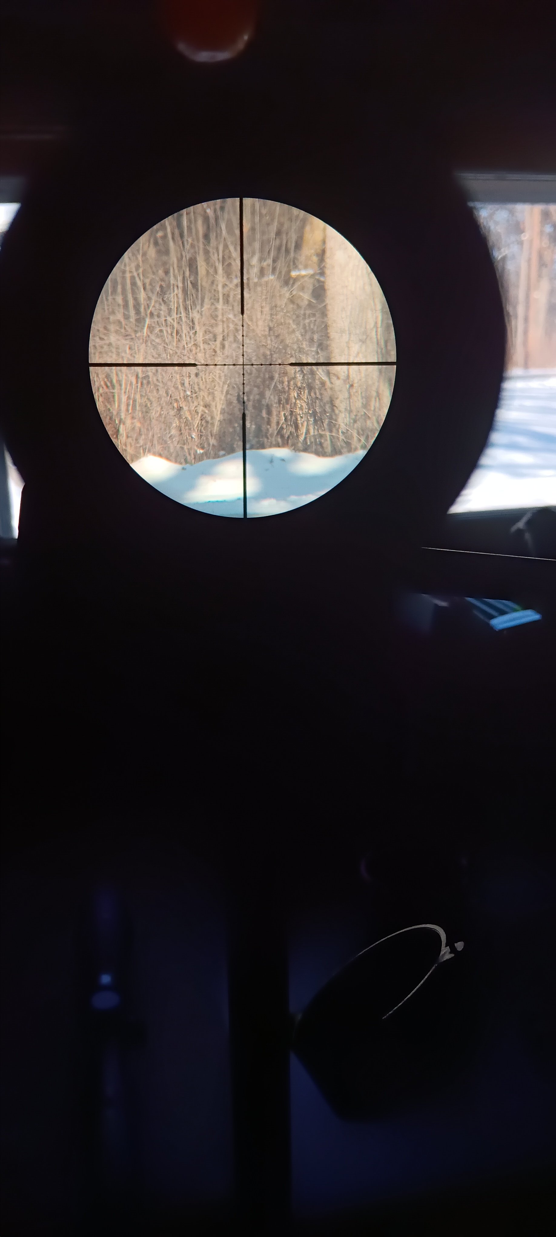 20250114_114050.jpg