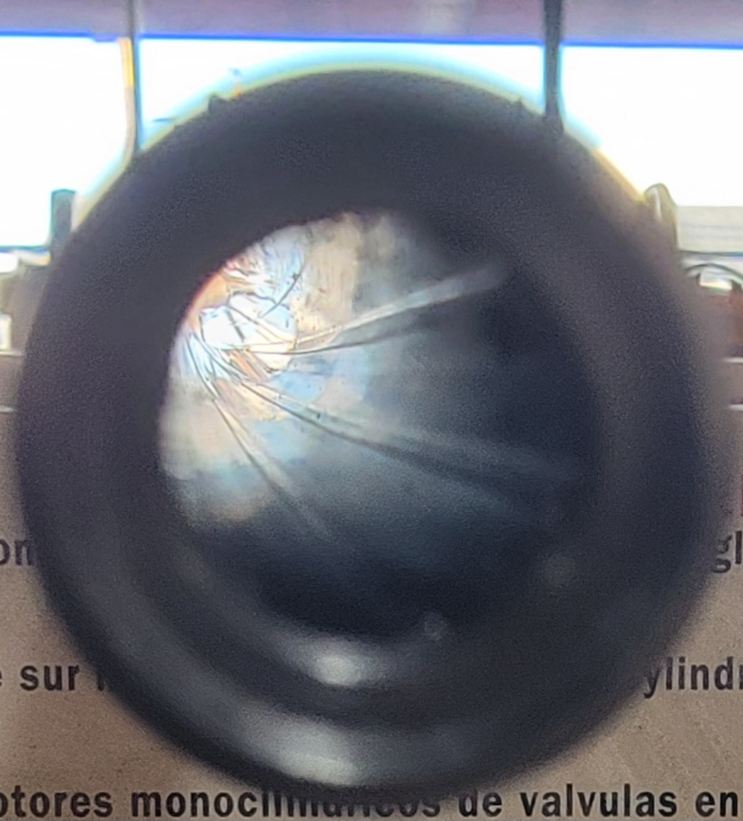 20250121_081451.jpg